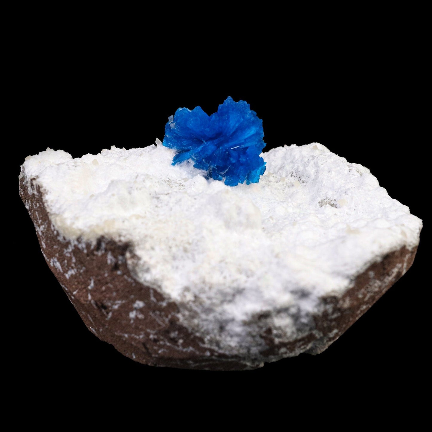 Cavansite on Modernite (Rare Find) Natural Mineral Specimen # B 6722 Cavansite Superb Minerals
