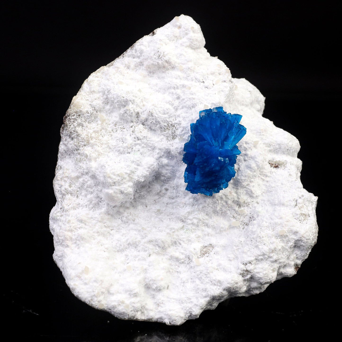 Cavansite on Modernite (Rare Find) Natural Mineral Specimen # B 6722 Cavansite Superb Minerals