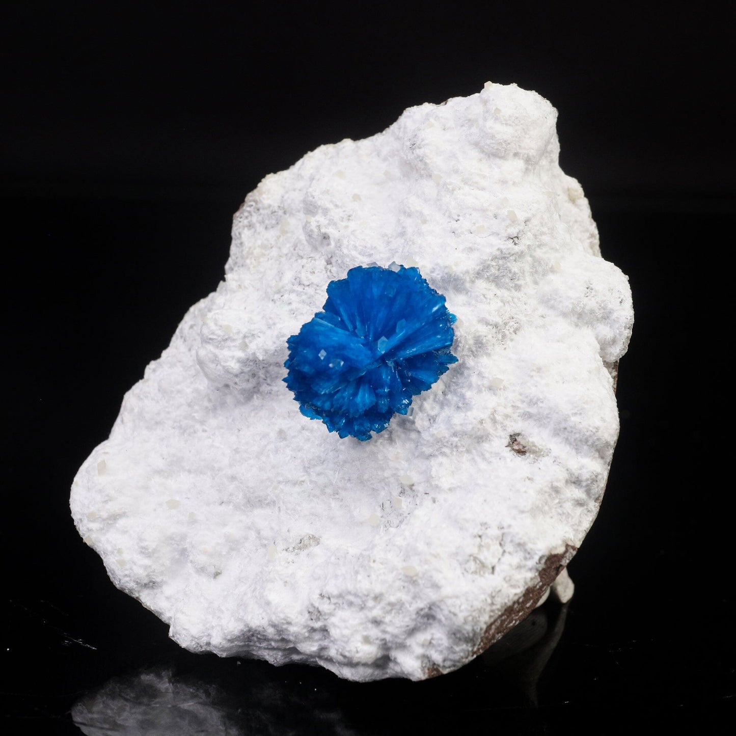 Cavansite on Modernite (Rare Find) Natural Mineral Specimen # B 6722 Cavansite Superb Minerals