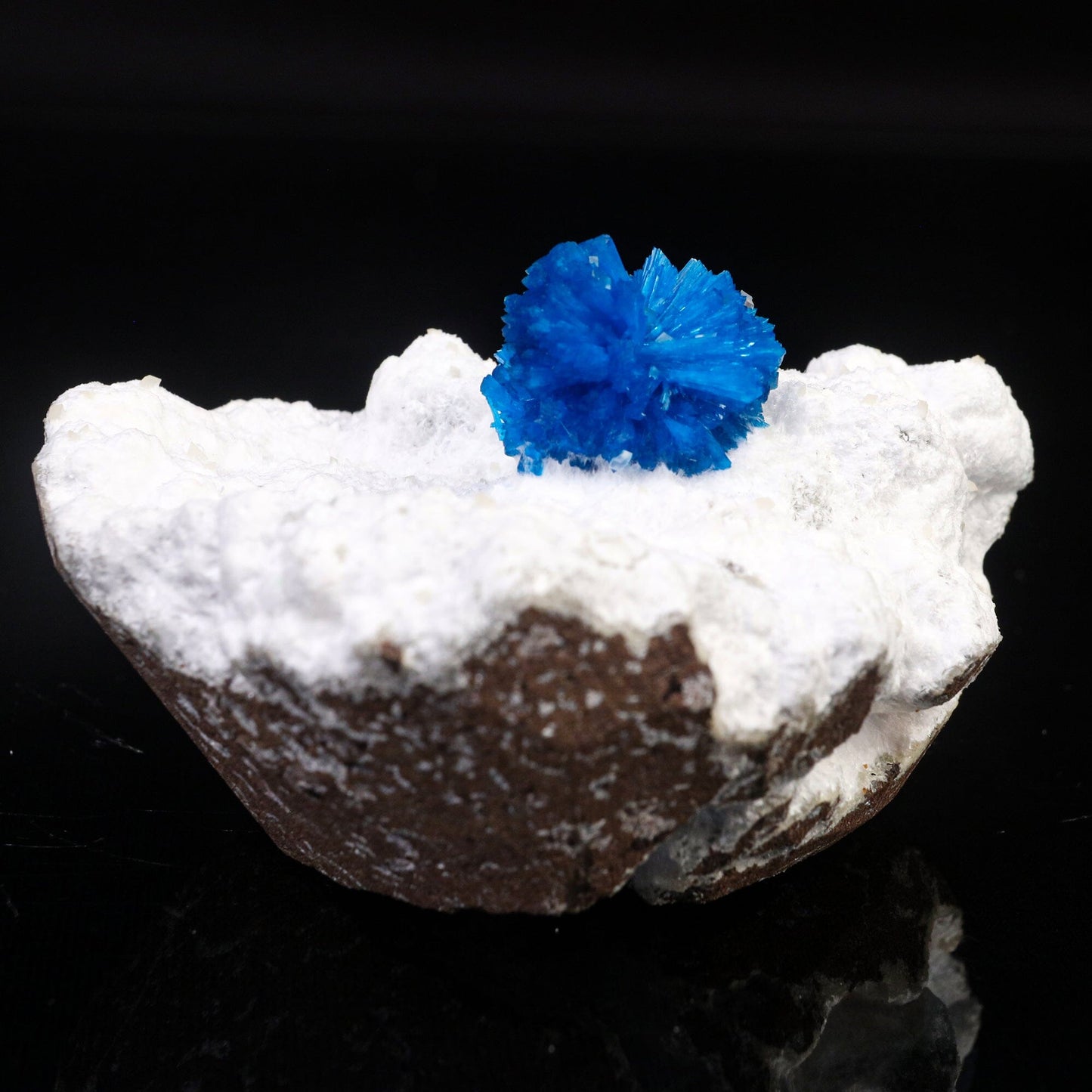 Cavansite on Modernite (Rare Find) Natural Mineral Specimen # B 6722 Cavansite Superb Minerals