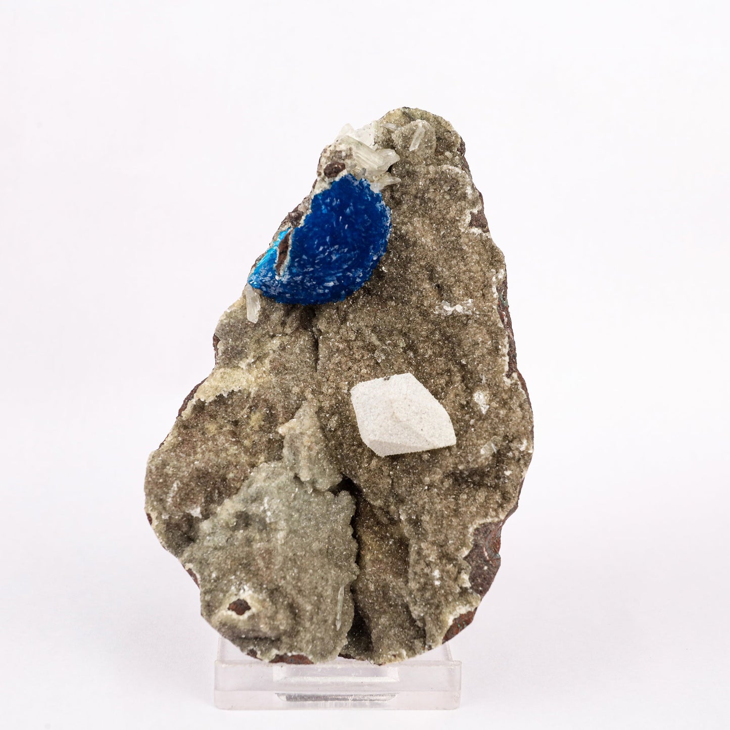 Cavansite with Coated Calcite Natural Mineral Specimen # B 6343 Cavansite Superb Minerals