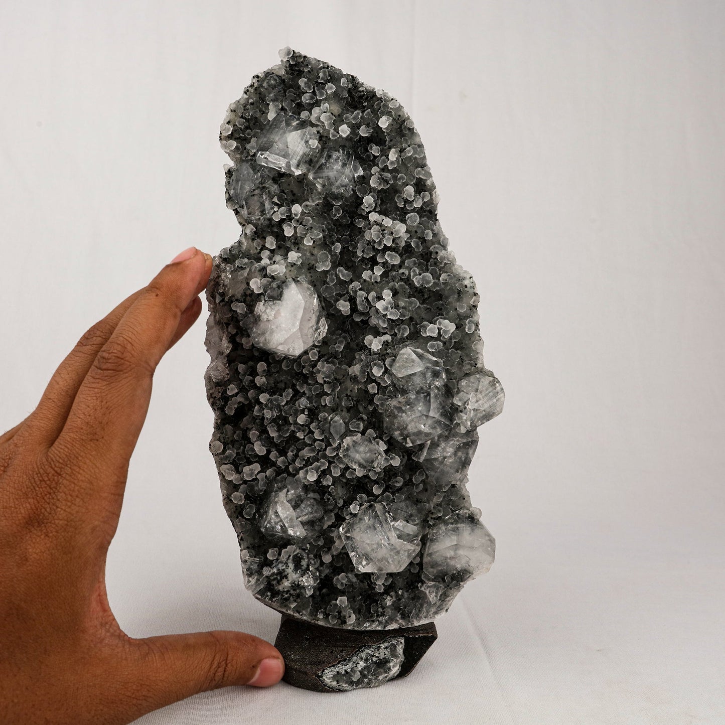 Chalcedony Black with Apophyllite Cubes Natural Mineral Specimen # B 5523 Chalcedony Superb Minerals