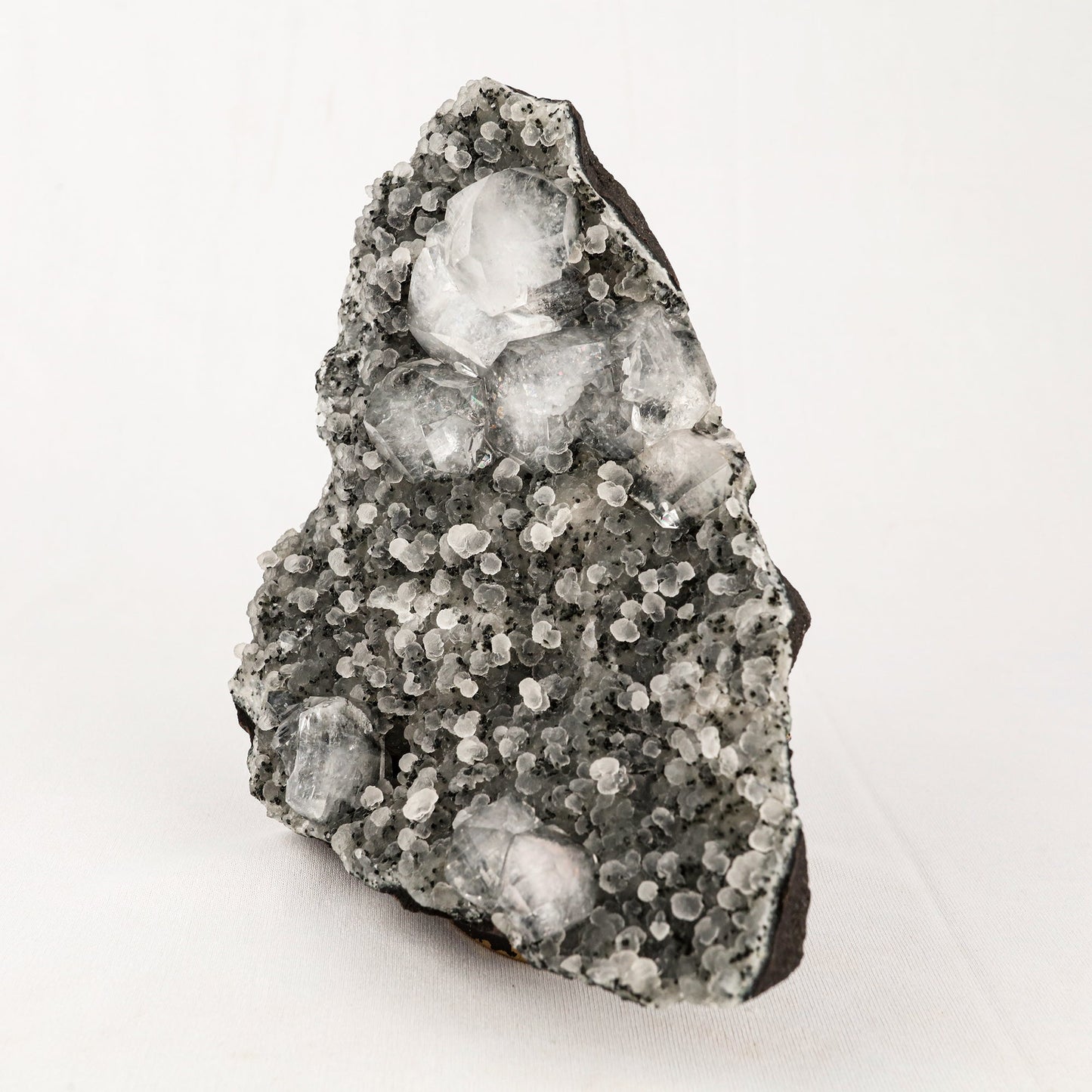 Chalcedony Black with Apophyllite Cubes Natural Mineral Specimen # B 5541 Apophyllite Superb Minerals