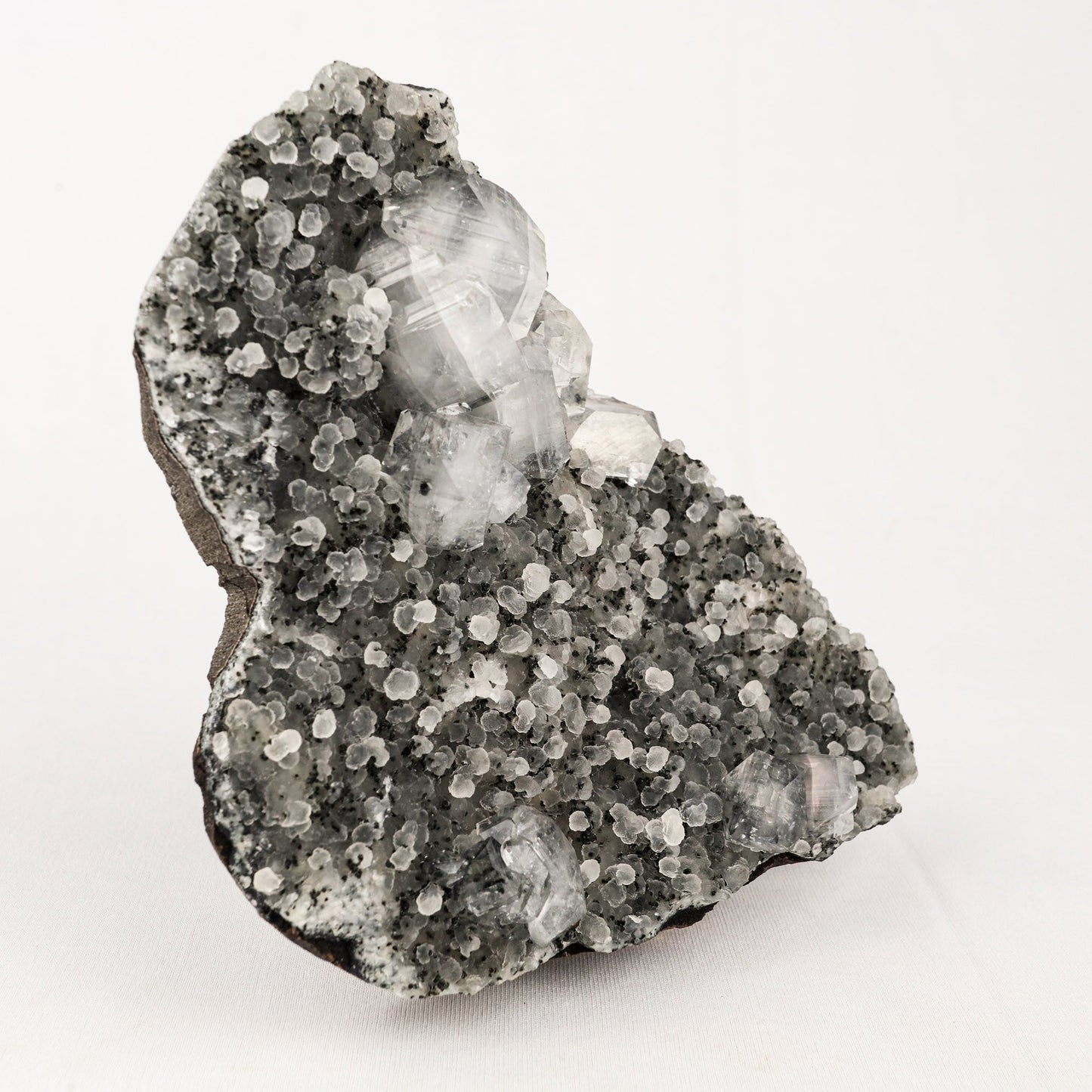 Chalcedony Black with Apophyllite Cubes Natural Mineral Specimen # B 5541 Apophyllite Superb Minerals