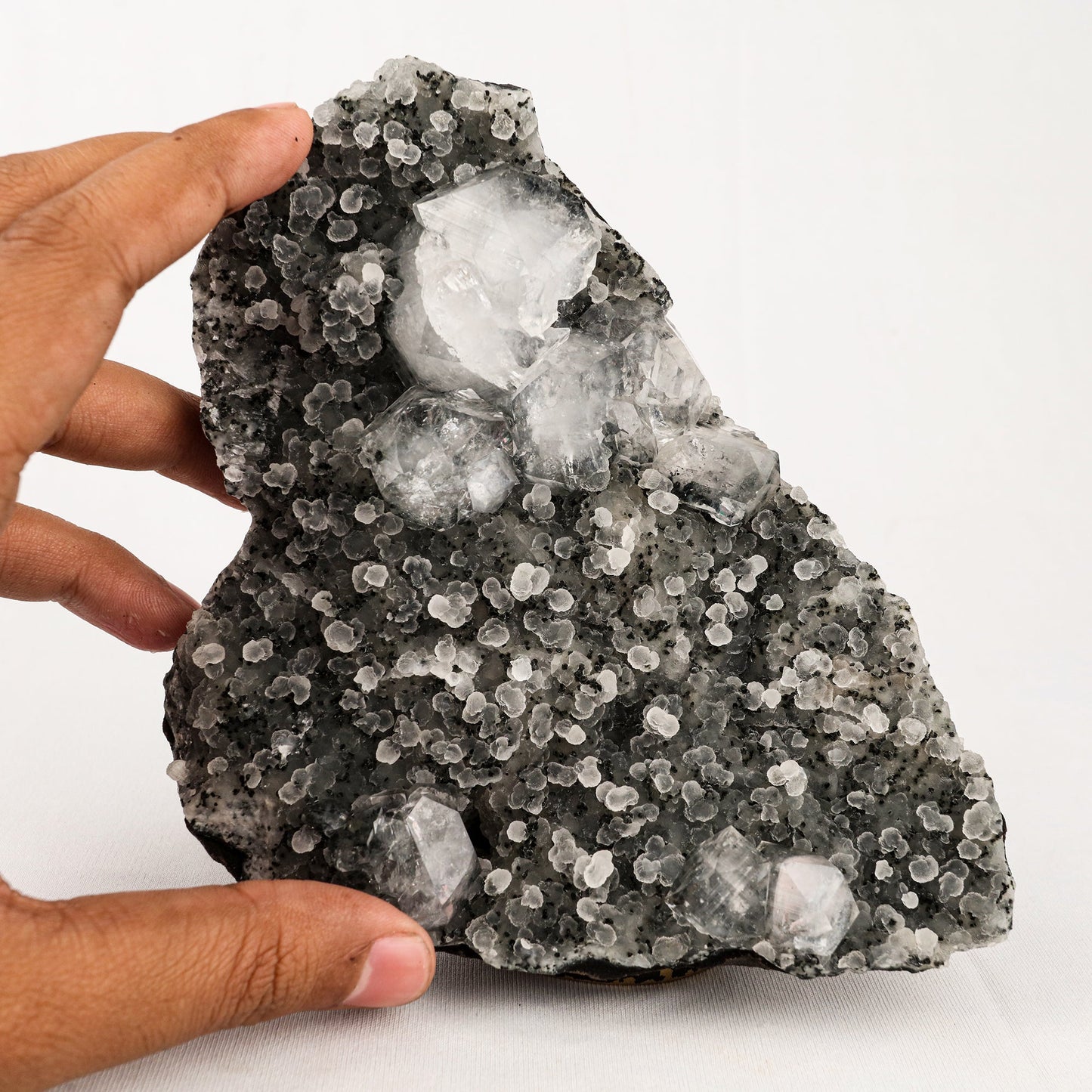 Chalcedony Black with Apophyllite Cubes Natural Mineral Specimen # B 5541 Apophyllite Superb Minerals