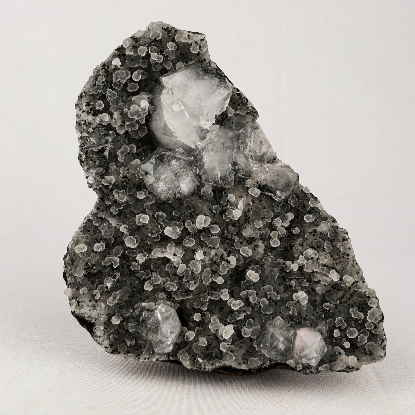 Chalcedony Black with Apophyllite Cubes Natural Mineral Specimen # B 5541 Apophyllite Superb Minerals