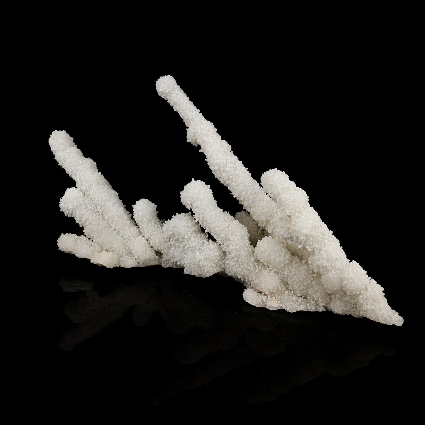 Chalcedony Coral Free Standing Natural Mineral Specimen # B 6387 Chalcedony Superb Minerals