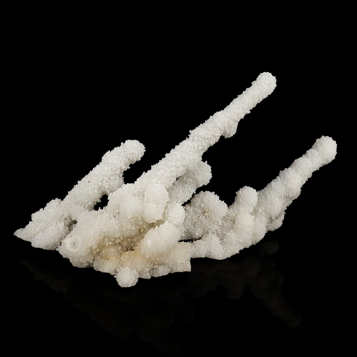 Chalcedony Coral Free Standing Natural Mineral Specimen # B 6387 Chalcedony Superb Minerals