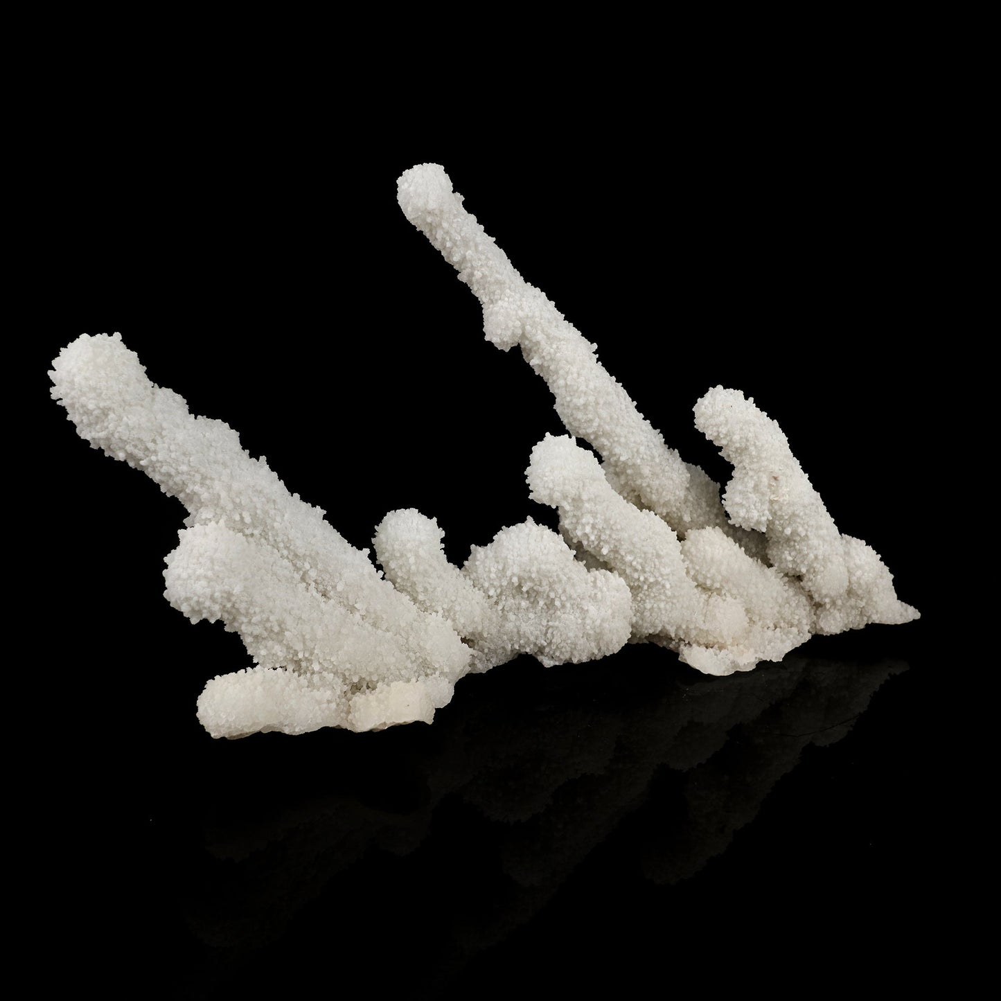 Chalcedony Coral Free Standing Natural Mineral Specimen # B 6387 Chalcedony Superb Minerals