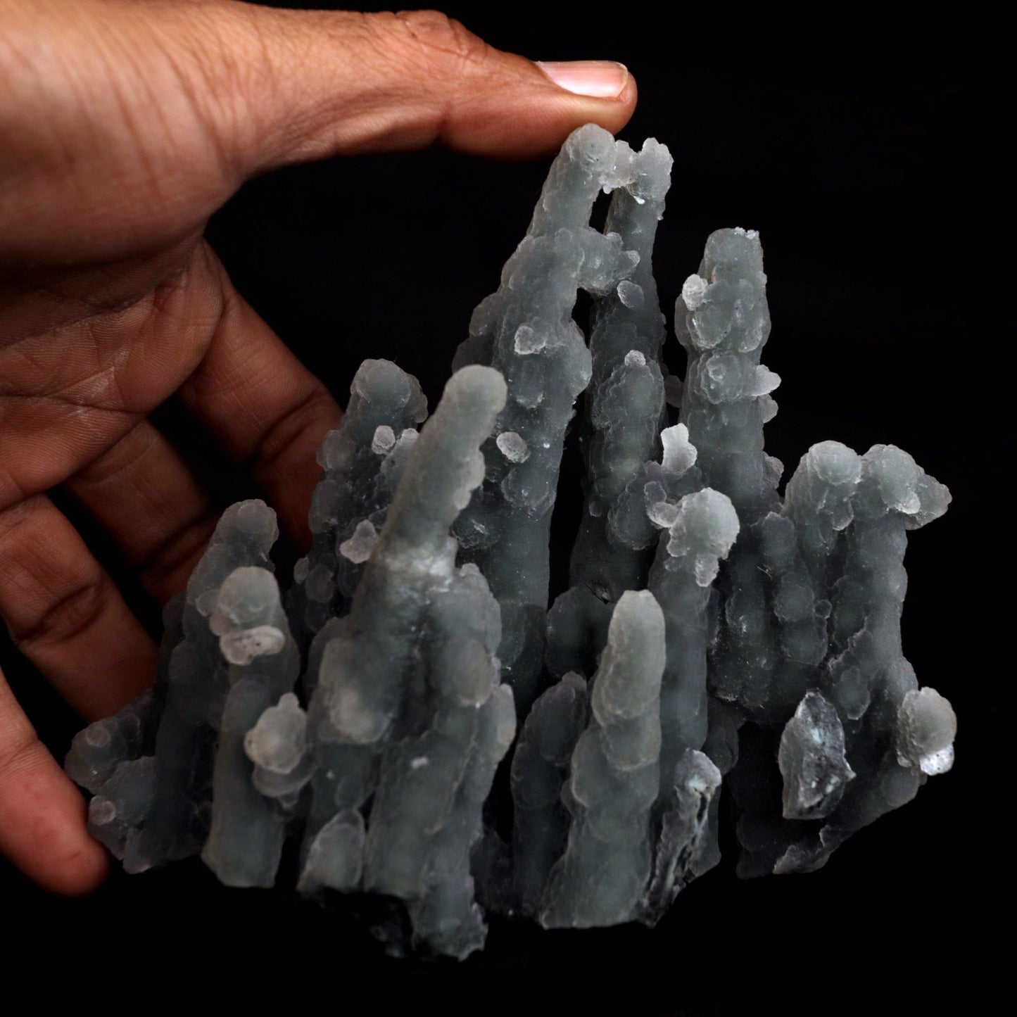 Chalcedony Coral Natural Mineral Specimen # B 4831 https://www.superbminerals.us/products/chalcedony-coral-natural-mineral-specimen-b-4831 Features: Magnificent specimen of delicate Chalcedony stalactites. The Chalcedony elongated structure is amazing. The stalactites are complete all over, colorless with milky white inclusions in the center, very sparkling and frosty. Many of them are doubly terminated. The Chalcedony stalactites are very lustrous
