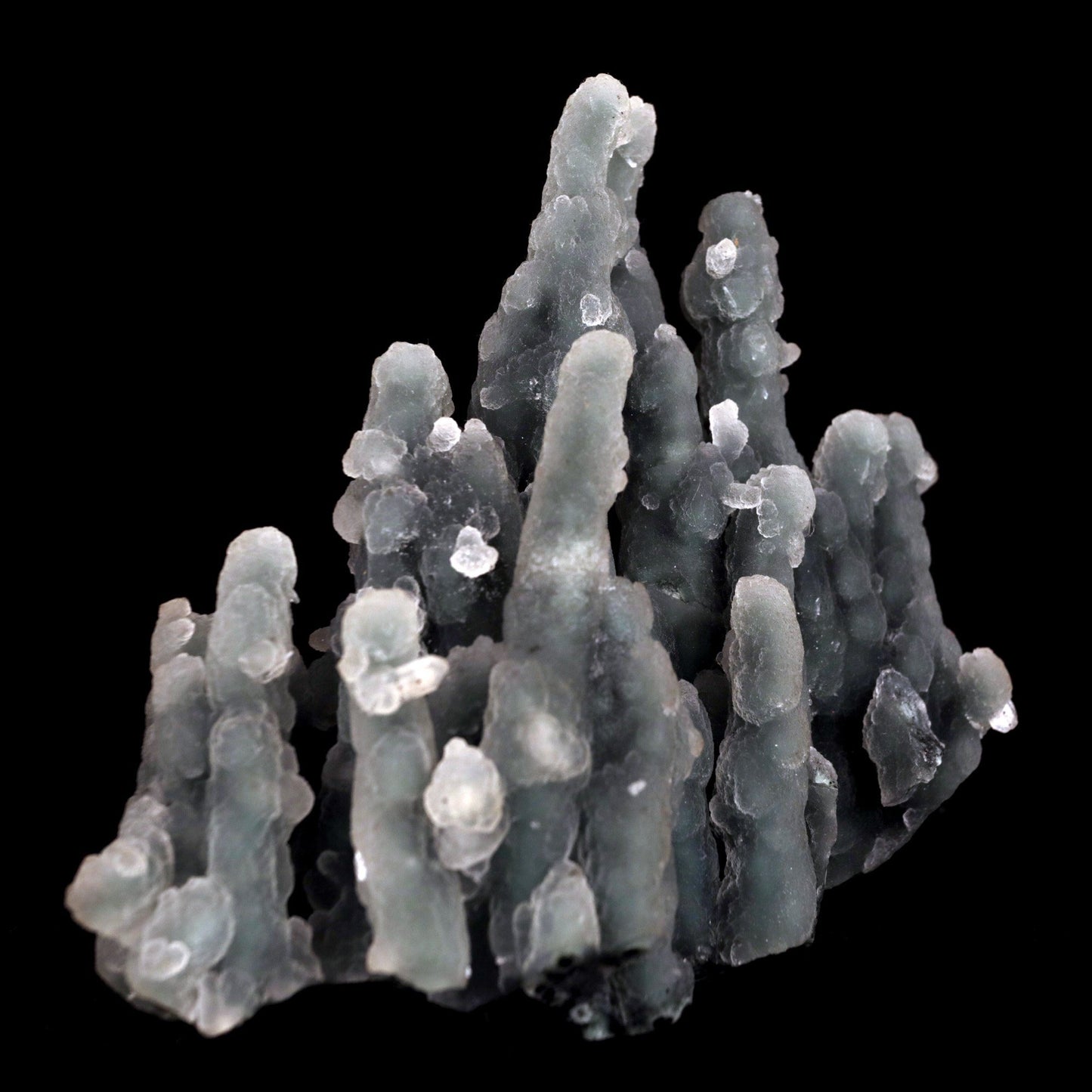 Chalcedony Coral Natural Mineral Specimen # B 4831 https://www.superbminerals.us/products/chalcedony-coral-natural-mineral-specimen-b-4831 Features: Magnificent specimen of delicate Chalcedony stalactites. The Chalcedony elongated structure is amazing. The stalactites are complete all over, colorless with milky white inclusions in the center, very sparkling and frosty. Many of them are doubly terminated. The Chalcedony stalactites are very lustrous