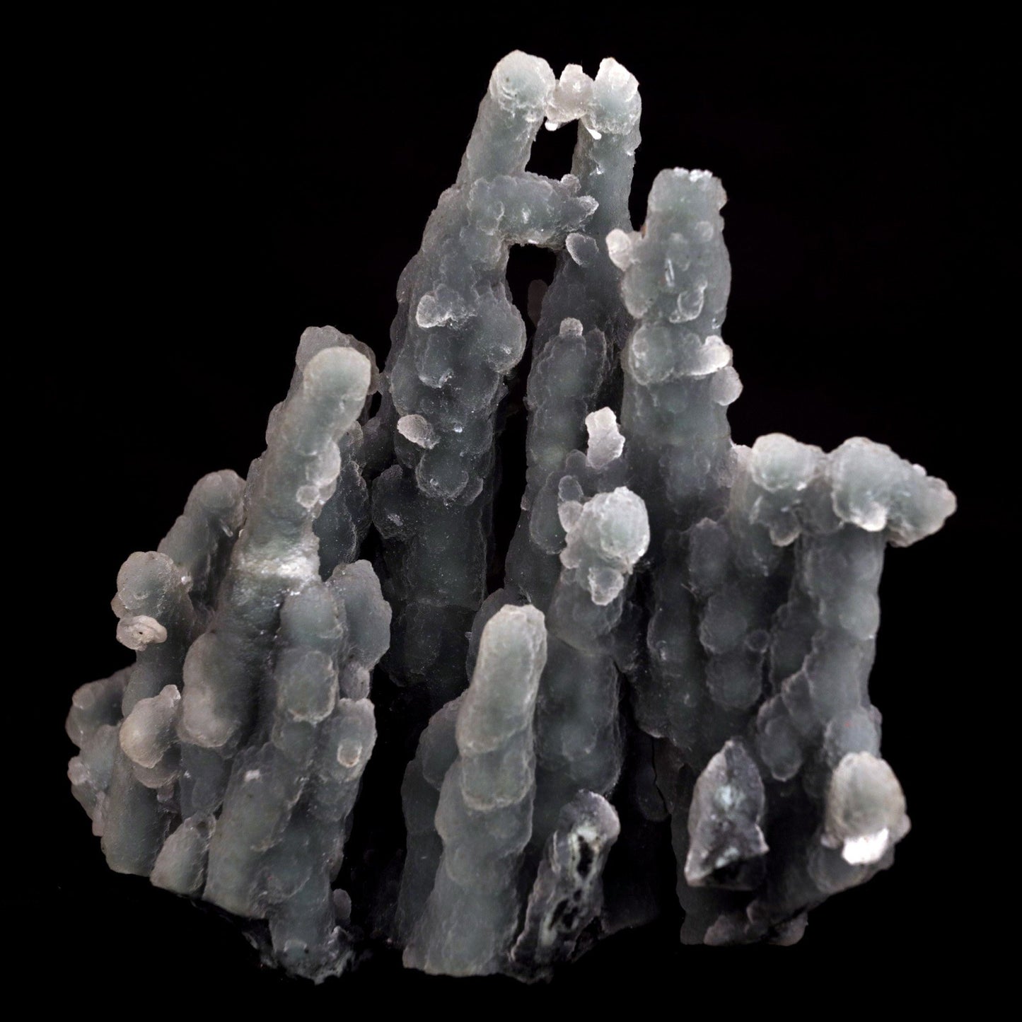 Chalcedony Coral Natural Mineral Specimen # B 4831 https://www.superbminerals.us/products/chalcedony-coral-natural-mineral-specimen-b-4831 Features: Magnificent specimen of delicate Chalcedony stalactites. The Chalcedony elongated structure is amazing. The stalactites are complete all over, colorless with milky white inclusions in the center, very sparkling and frosty. Many of them are doubly terminated. The Chalcedony stalactites are very lustrous