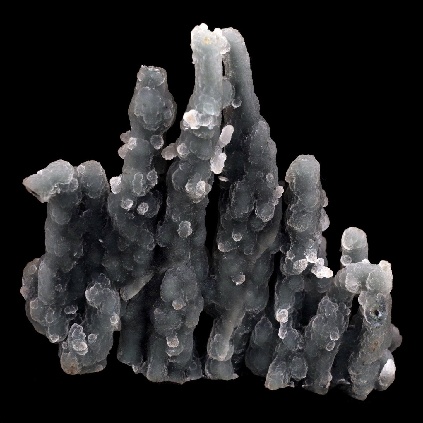 Chalcedony Coral Natural Mineral Specimen # B 4831 https://www.superbminerals.us/products/chalcedony-coral-natural-mineral-specimen-b-4831 Features: Magnificent specimen of delicate Chalcedony stalactites. The Chalcedony elongated structure is amazing. The stalactites are complete all over, colorless with milky white inclusions in the center, very sparkling and frosty. Many of them are doubly terminated. The Chalcedony stalactites are very lustrous