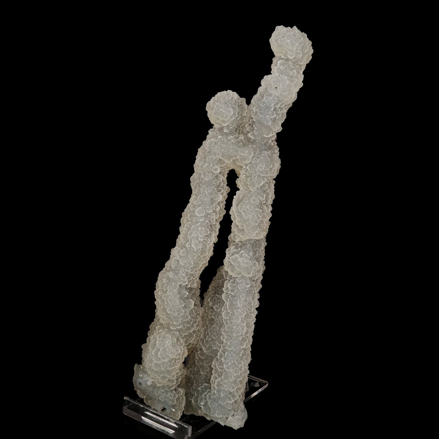 Chalcedony Coral Natural Mineral Specimen # B 6174 Okenite Superb Minerals