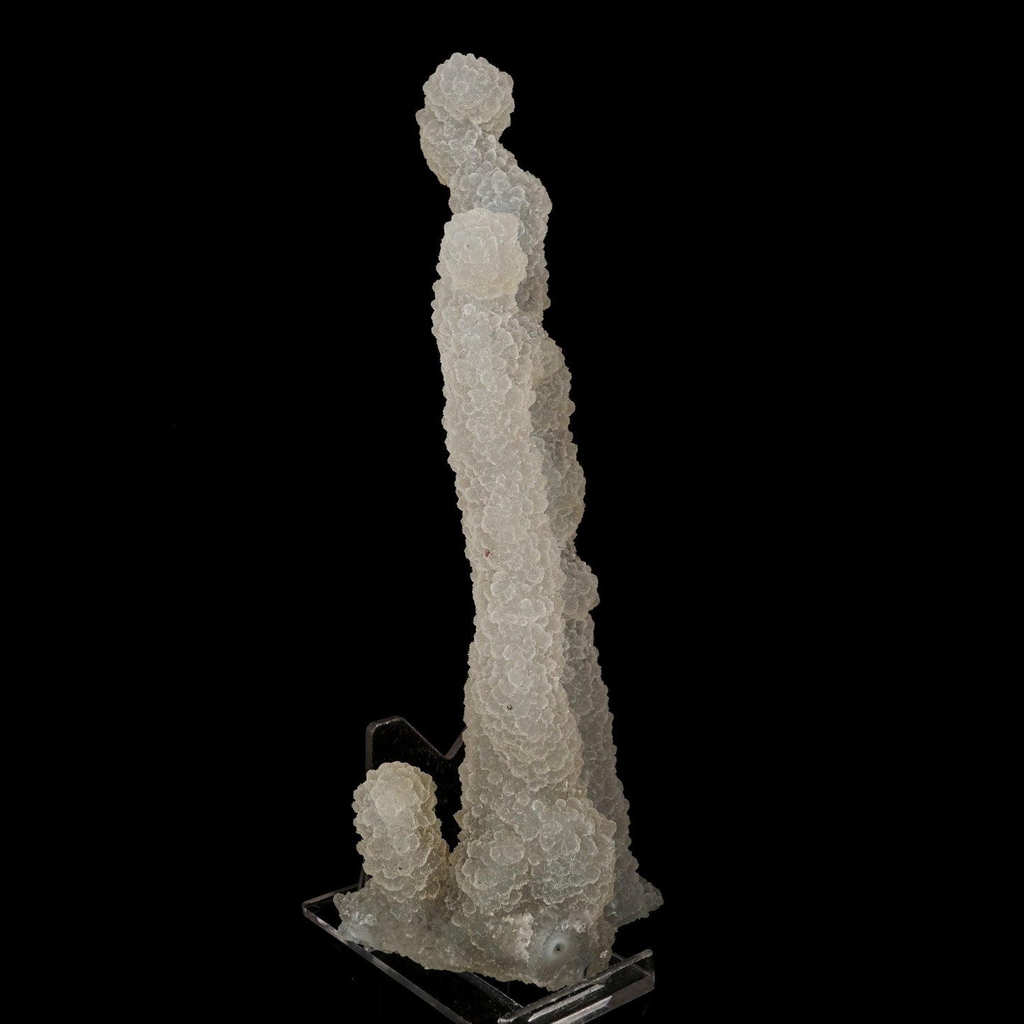 Chalcedony Coral Natural Mineral Specimen # B 6174 Okenite Superb Minerals