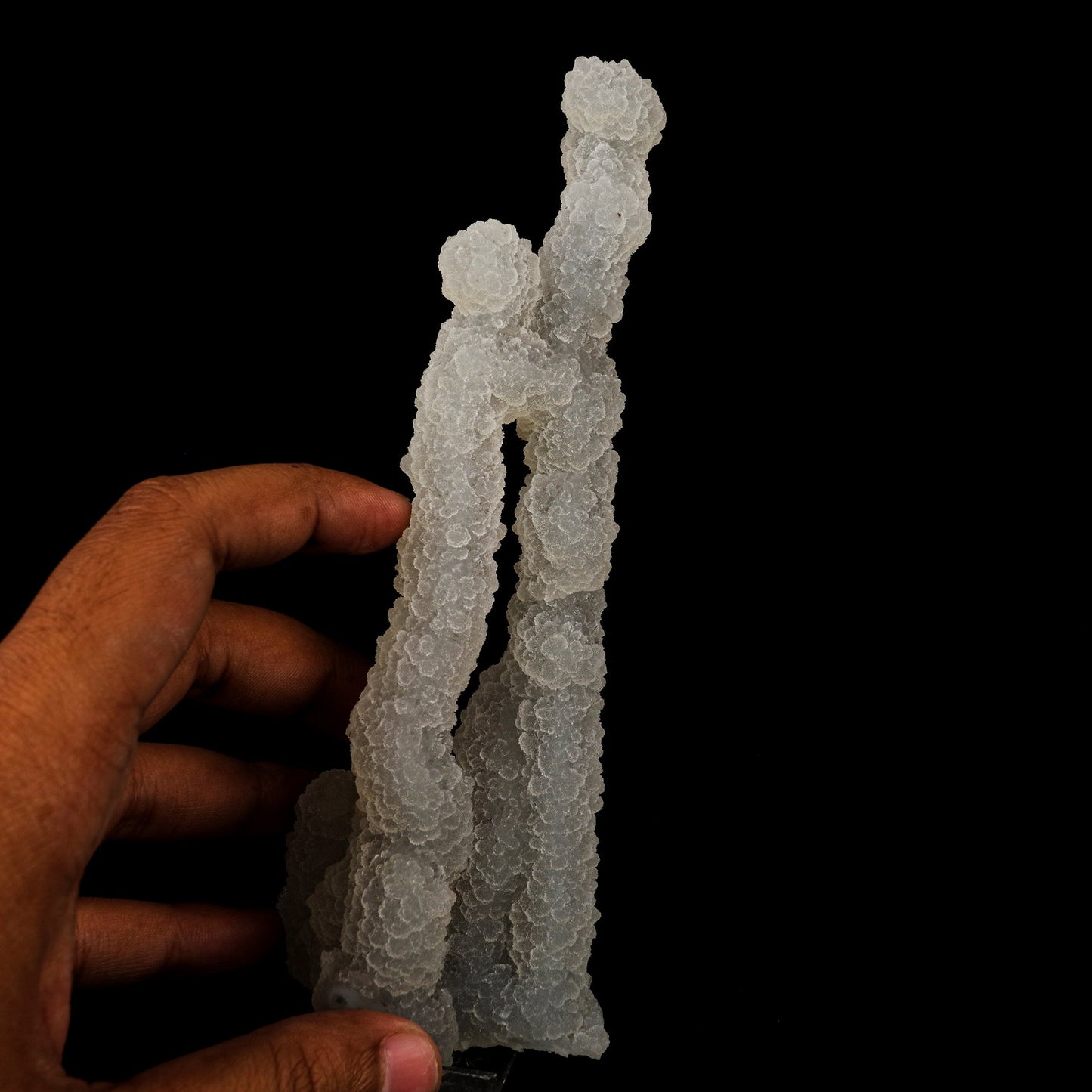 Chalcedony Coral Natural Mineral Specimen # B 6174 Okenite Superb Minerals