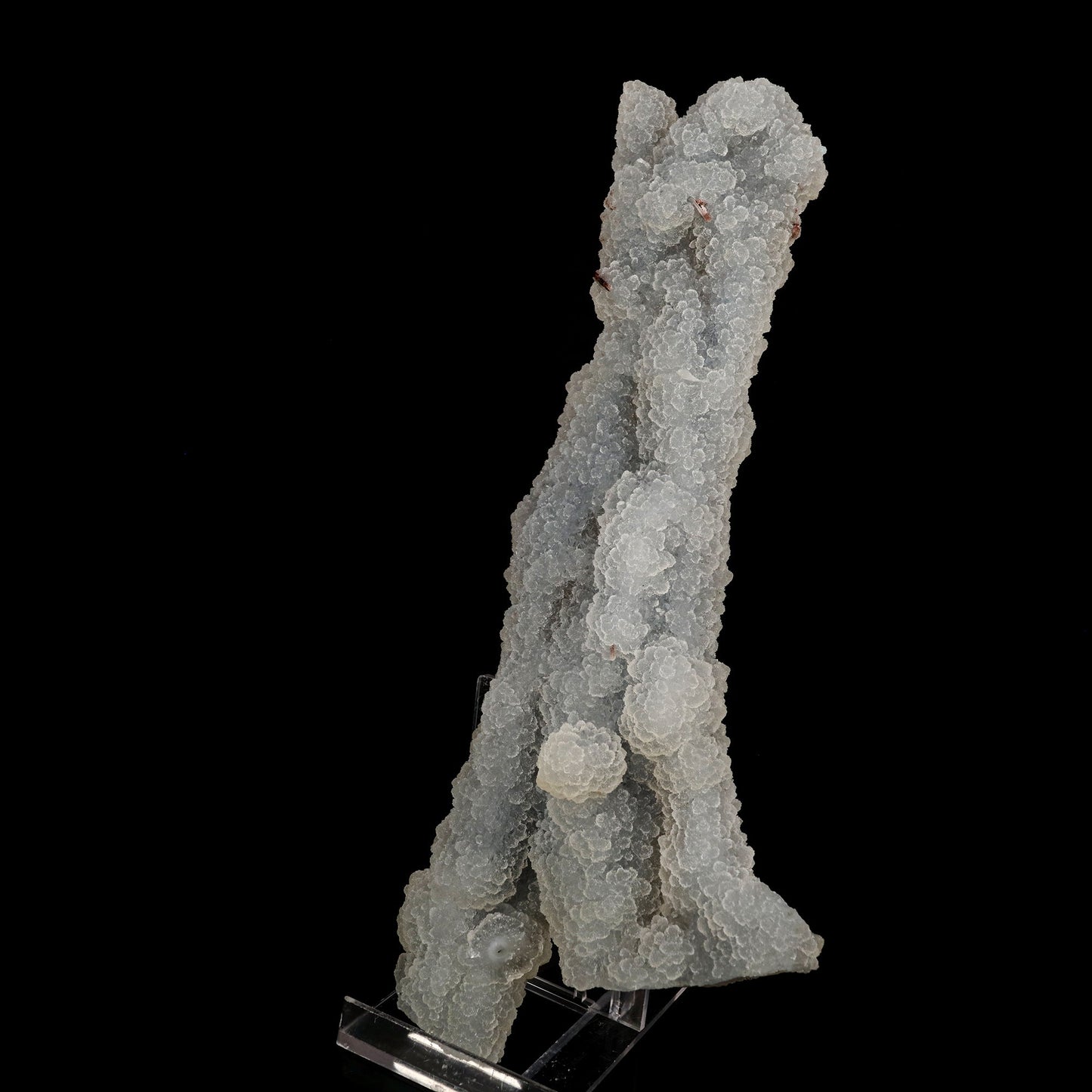 Chalcedony Coral Natural Mineral Specimen # B 6179 Chalcedony Superb Minerals