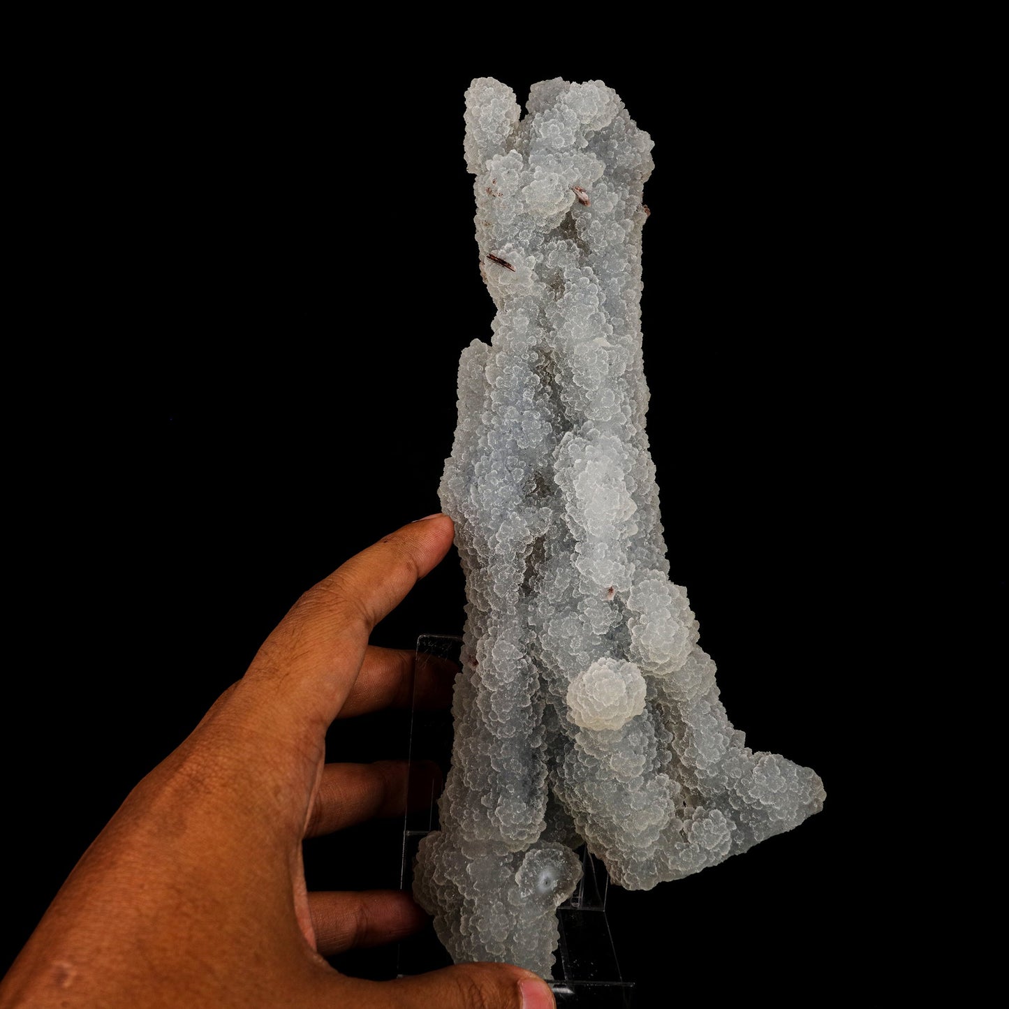 Chalcedony Coral Natural Mineral Specimen # B 6179 Chalcedony Superb Minerals