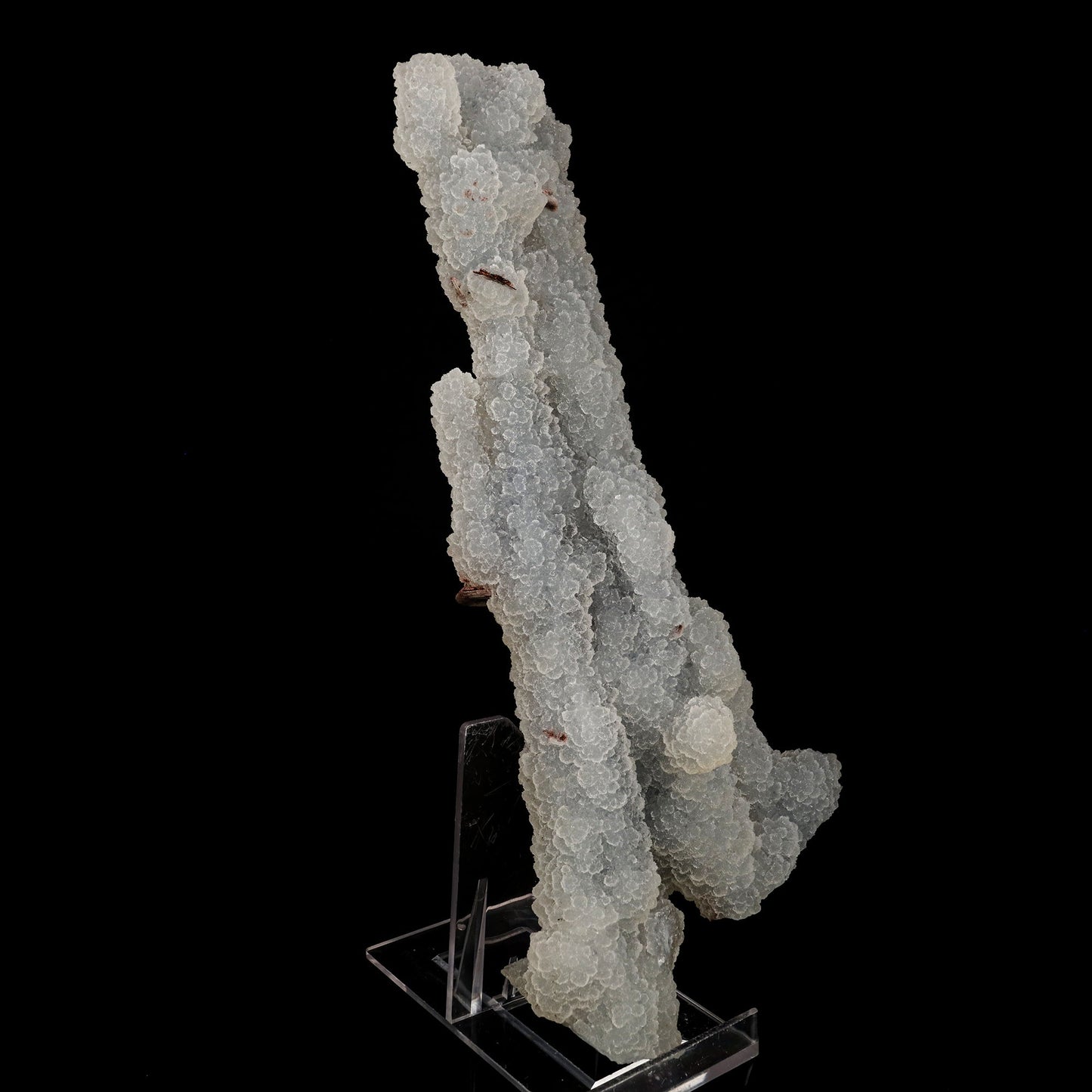 Chalcedony Coral Natural Mineral Specimen # B 6179 Chalcedony Superb Minerals