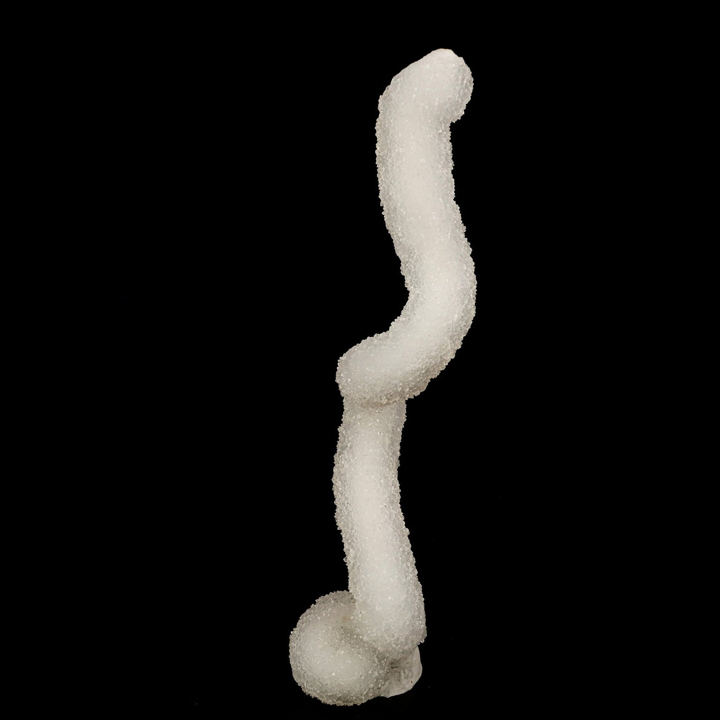 Chalcedony Spiral Coral Very Rare Natural Mineral Specimen # B 6240 Chalcedony Superb Minerals