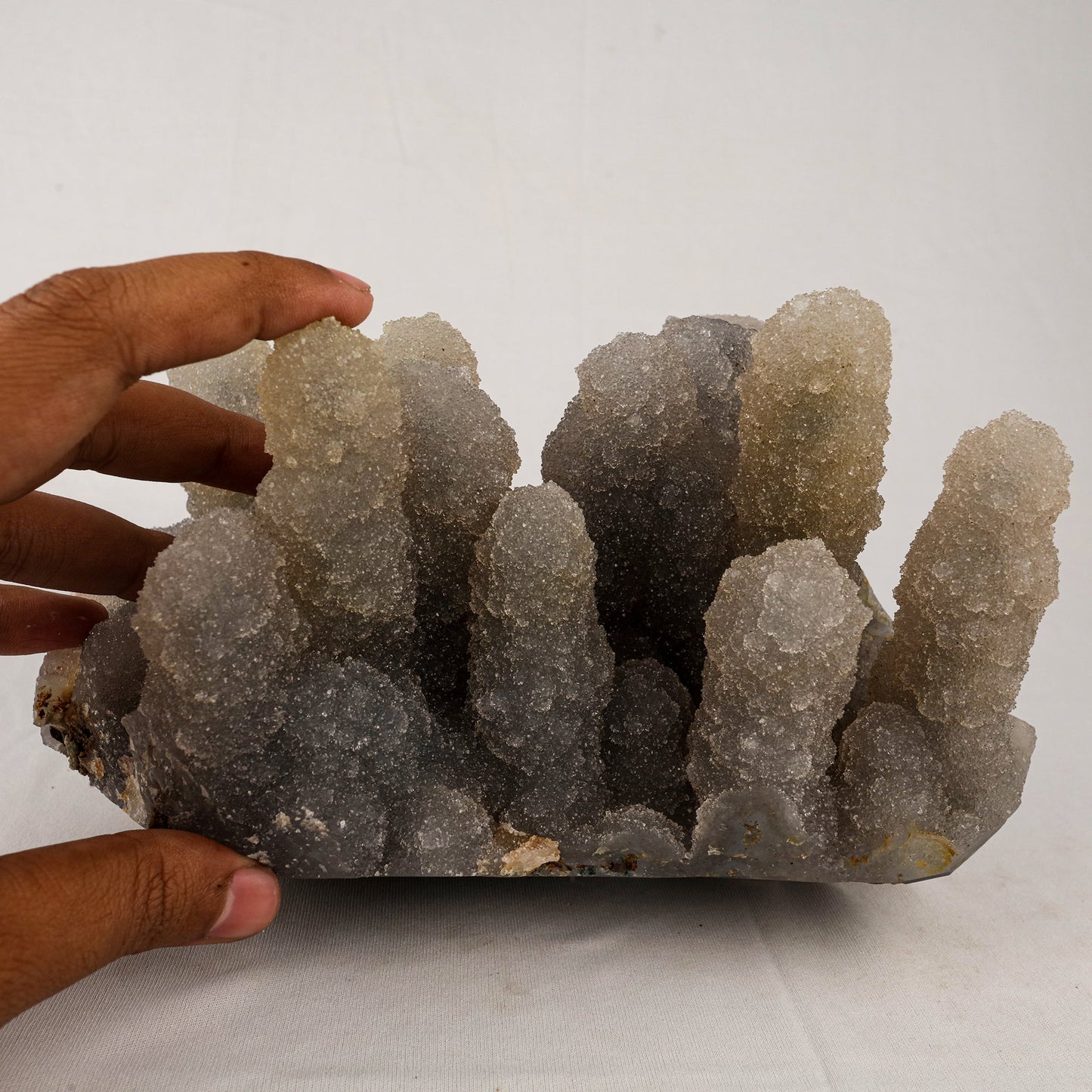 Chalcedony Stalactite Coral Formation Natural Mineral Specimen # B 5528 Chalcedony Superb Minerals