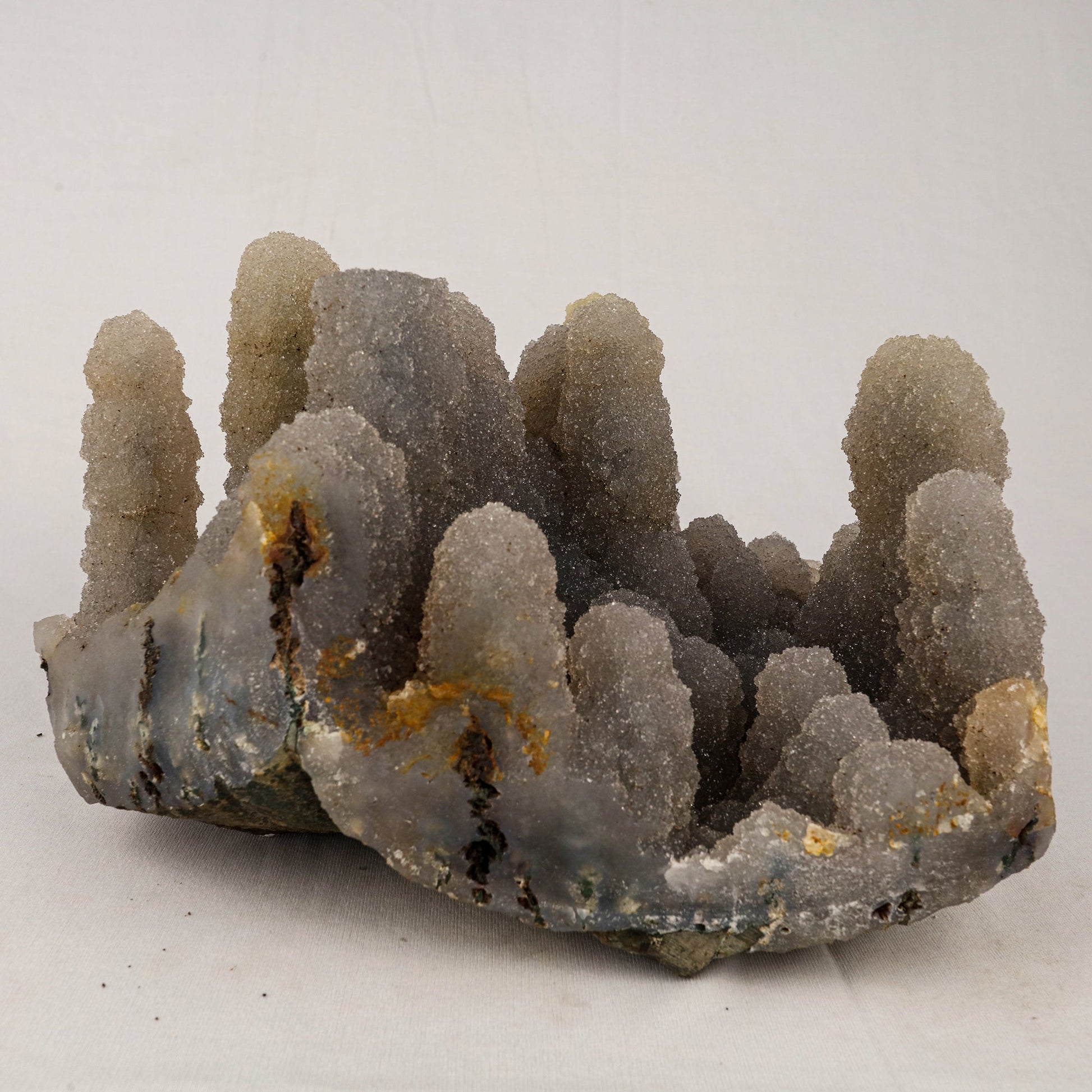 Chalcedony Stalactite Coral Formation Natural Mineral Specimen # B 5528 Chalcedony Superb Minerals