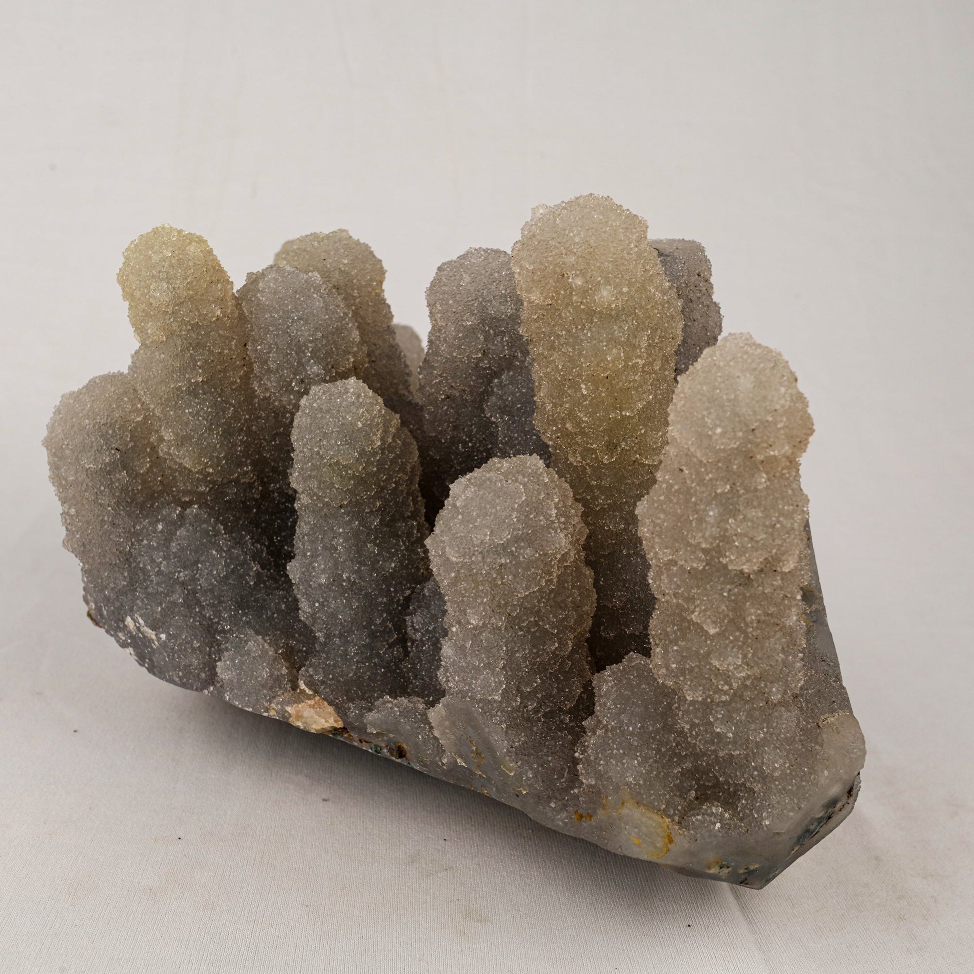 Chalcedony Stalactite Coral Formation Natural Mineral Specimen # B 5528 Chalcedony Superb Minerals