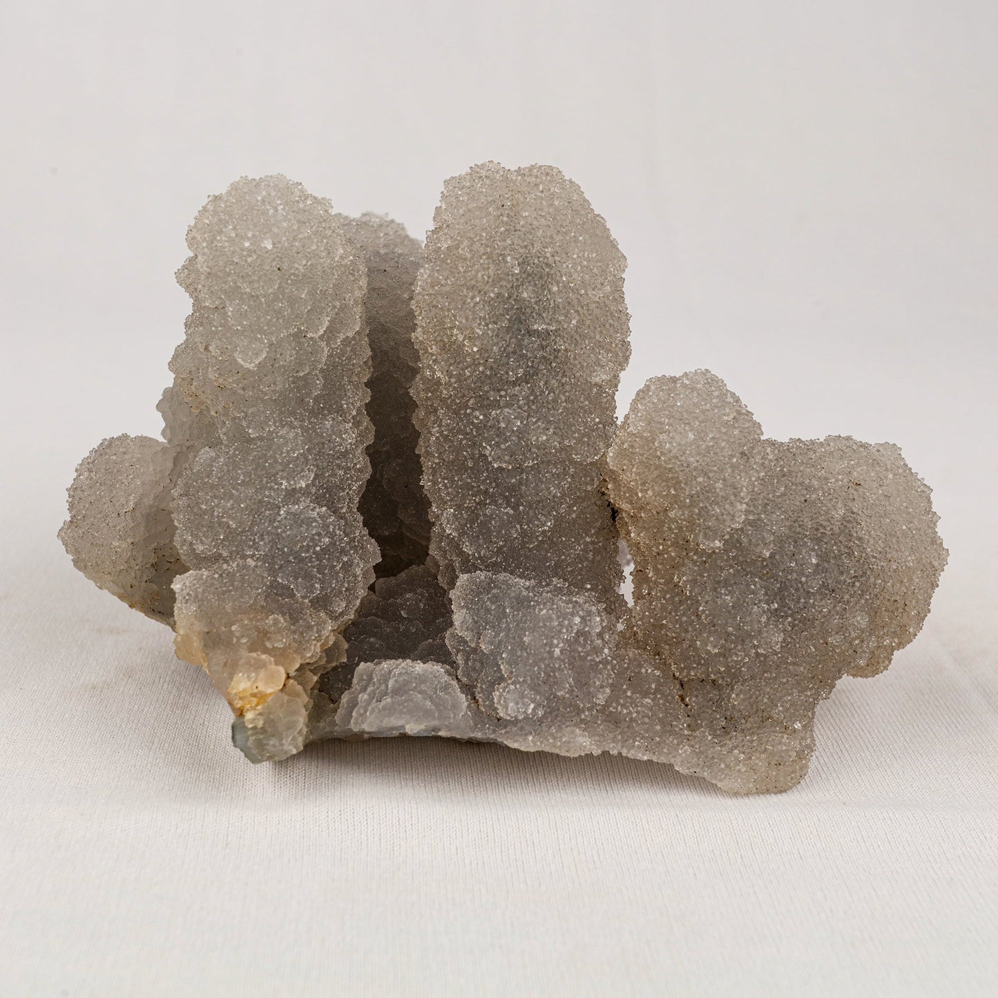 Chalcedony Stalactite Coral Formation Natural Mineral Specimen # B 5536 Chalcedony Superb Minerals