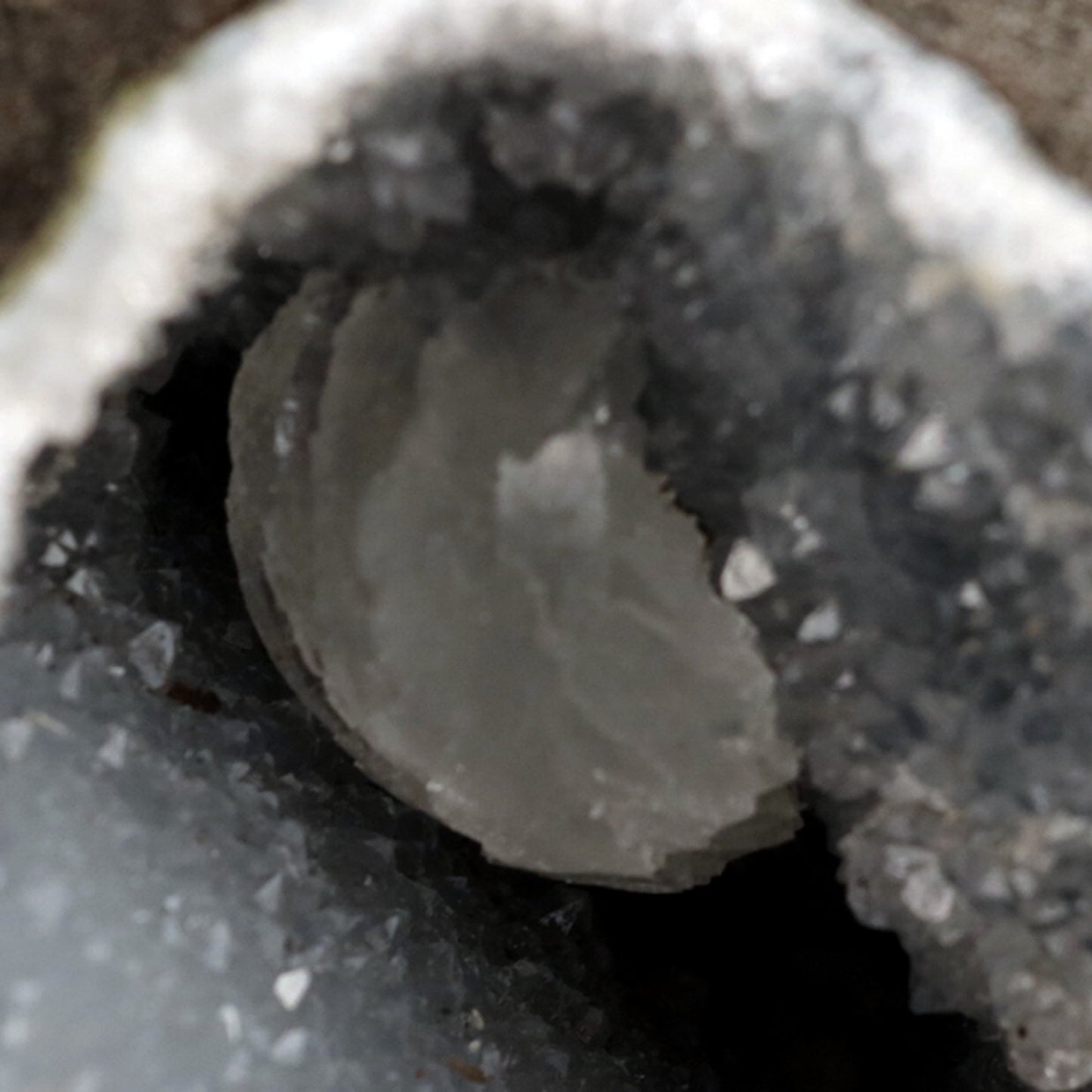 Epi-Stilbite Inside MM Quartz Geode Natural Mineral Specimen # B 4776 https://www.superbminerals.us/products/epi-stilbite-inside-mm-quartz-geode-natural-mineral-specimen-b-4776 Features: A rare specimen with magnificent, complete, radial aggregates of white, bladed Epistilbite across and poised on the basalt matrix. The complete Epistilbite group is undamaged, and the item stands out brilliantly. Keep in mind that the bulk of Epistilbite crystals discovered outside of India are micros,