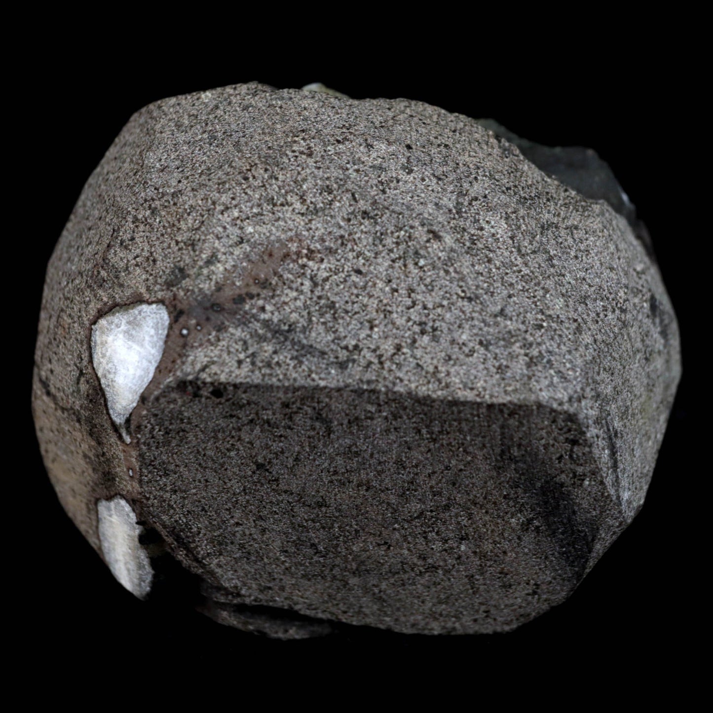 Epi-Stilbite Inside MM Quartz Geode Natural Mineral Specimen # B 4776 https://www.superbminerals.us/products/epi-stilbite-inside-mm-quartz-geode-natural-mineral-specimen-b-4776 Features: A rare specimen with magnificent, complete, radial aggregates of white, bladed Epistilbite across and poised on the basalt matrix. The complete Epistilbite group is undamaged, and the item stands out brilliantly. Keep in mind that the bulk of Epistilbite crystals discovered outside of India are micros,