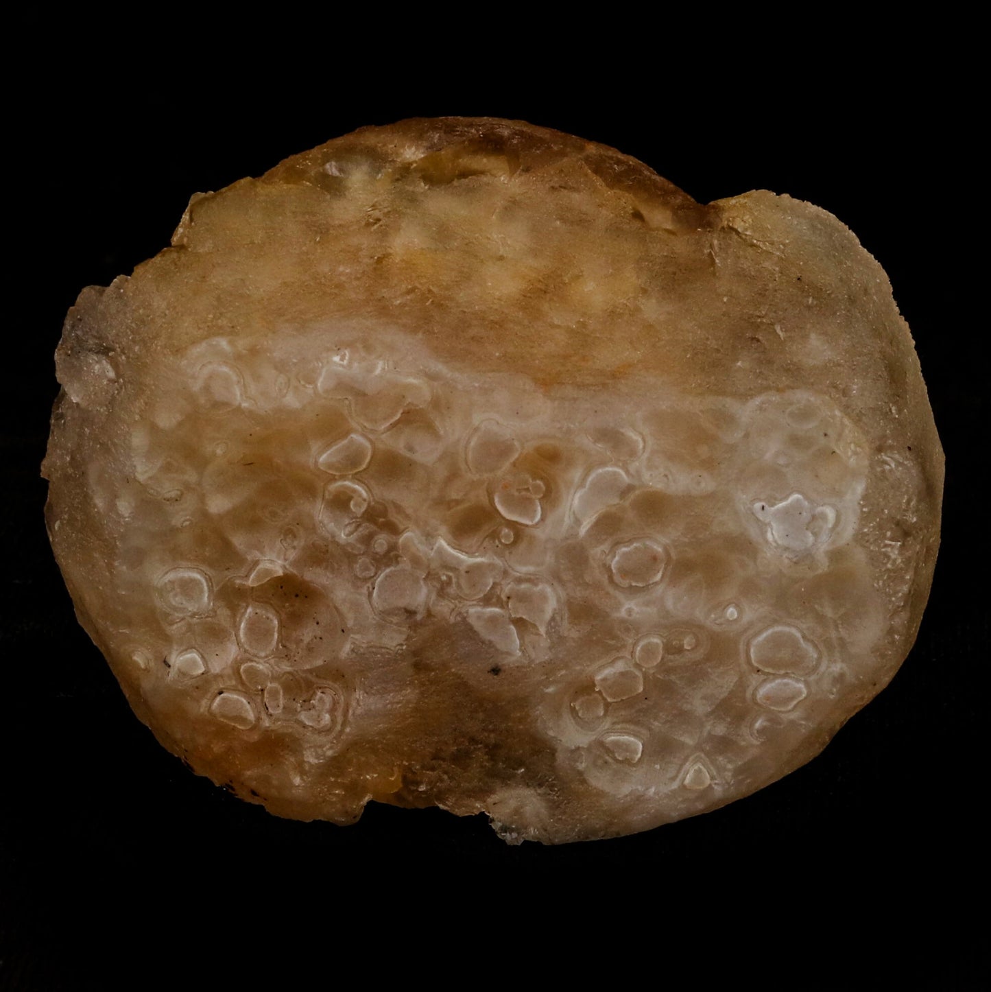 Fluorite ball on MM Quartz Natural Mineral Specimen # B 5343 Fluorite Superb Minerals