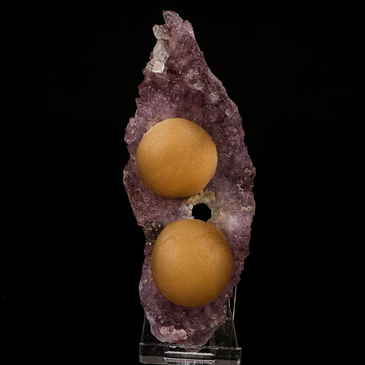 Fluorite Balls on Amethyst Very Rare Natural Mineral Specimen # B 5749 Fluorite Superb Minerals