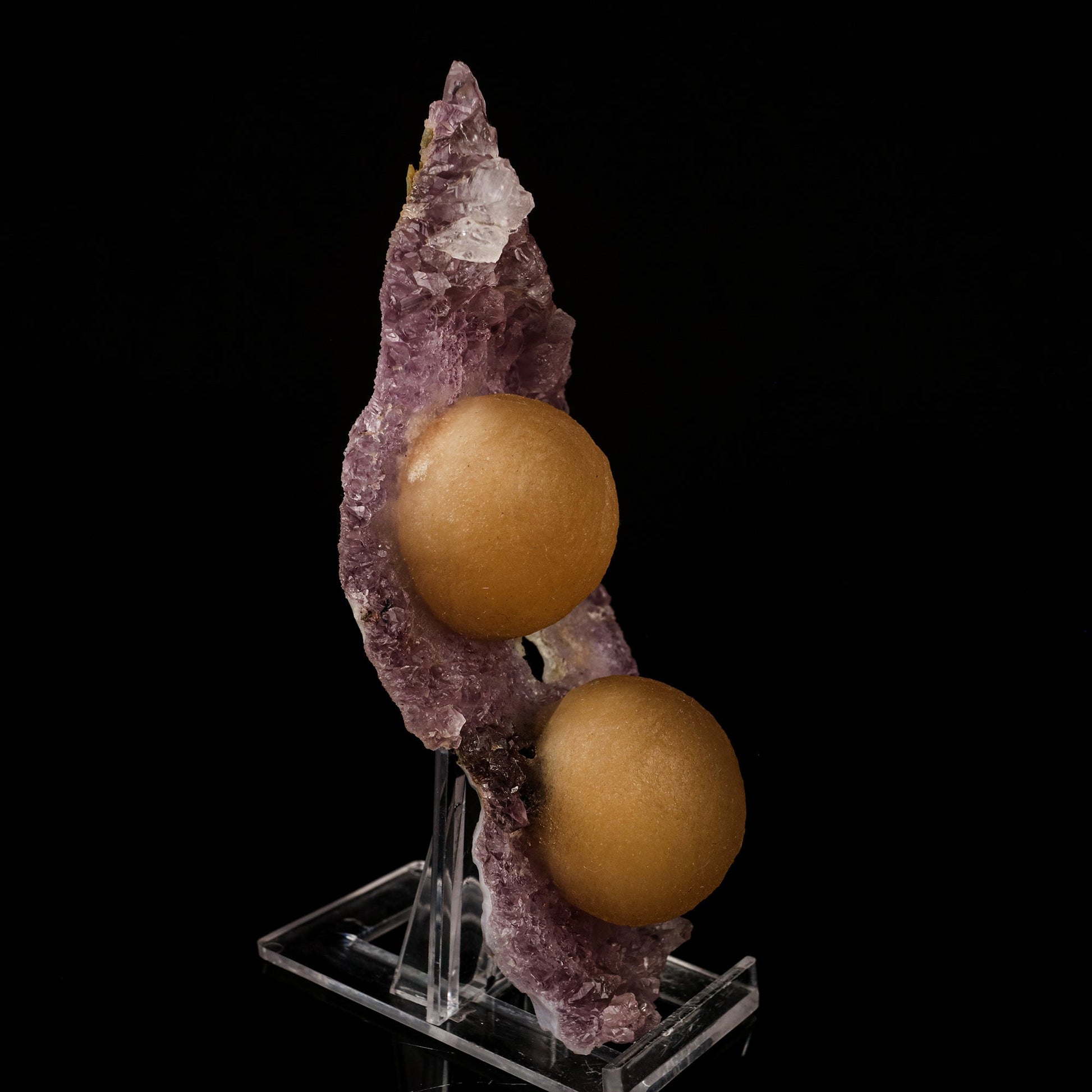 Fluorite Balls on Amethyst Very Rare Natural Mineral Specimen # B 5749 Fluorite Superb Minerals