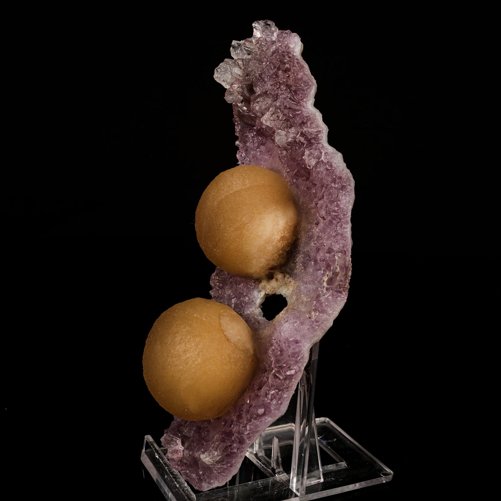 Fluorite Balls on Amethyst Very Rare Natural Mineral Specimen # B 5749 Fluorite Superb Minerals
