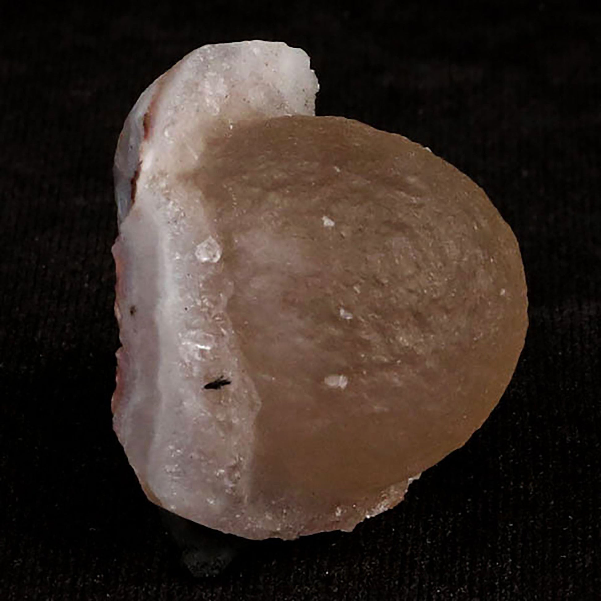 Fluorite balls on MM Quartz Natural Mineral Specimen # B 5418 Fluorite Superb Minerals