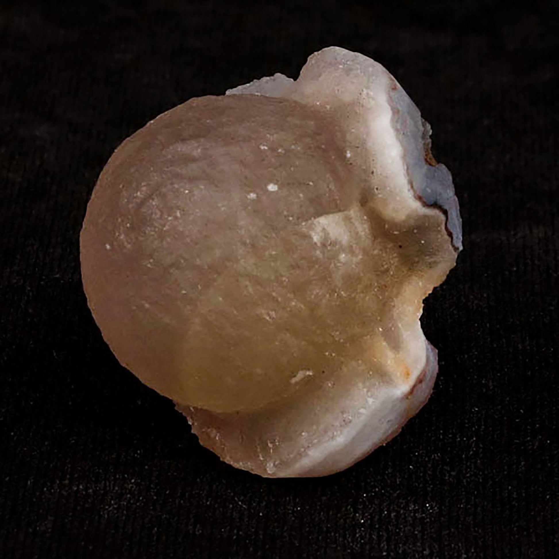 Fluorite balls on MM Quartz Natural Mineral Specimen # B 5418 Fluorite Superb Minerals