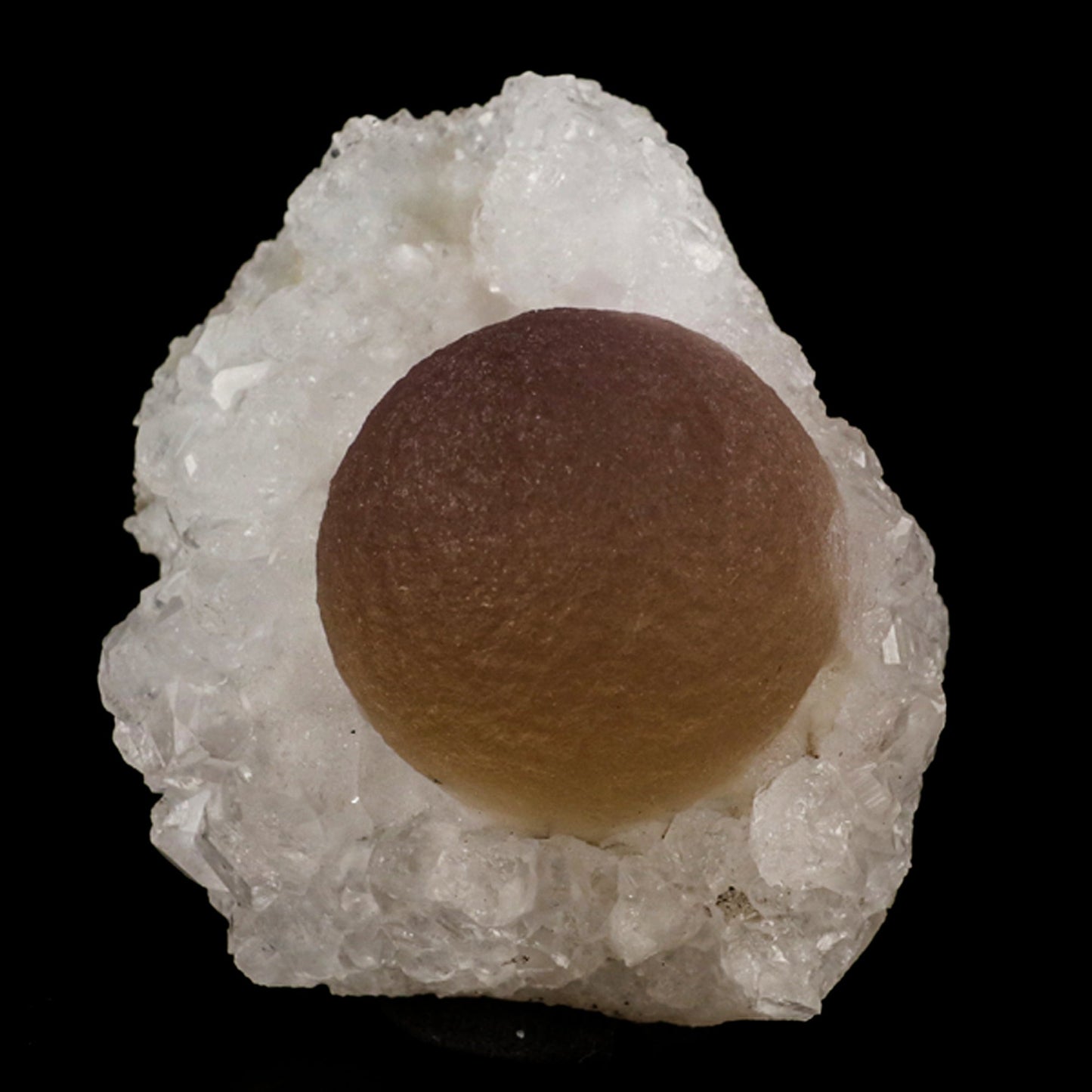 Fluorite balls on MM Quartz Natural Mineral Specimen # B 5932 Fluorite Superb Minerals