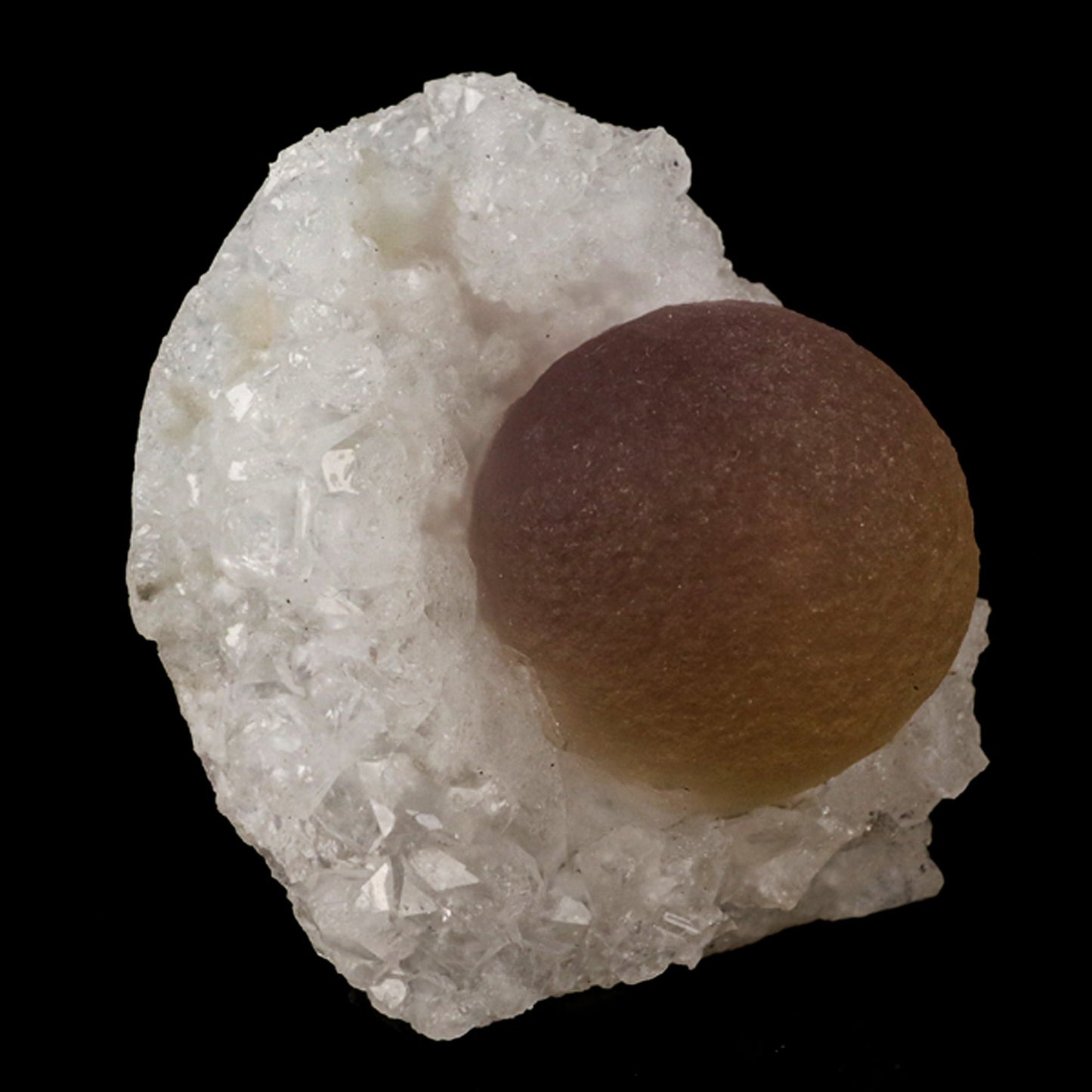 Fluorite balls on MM Quartz Natural Mineral Specimen # B 5932 Fluorite Superb Minerals