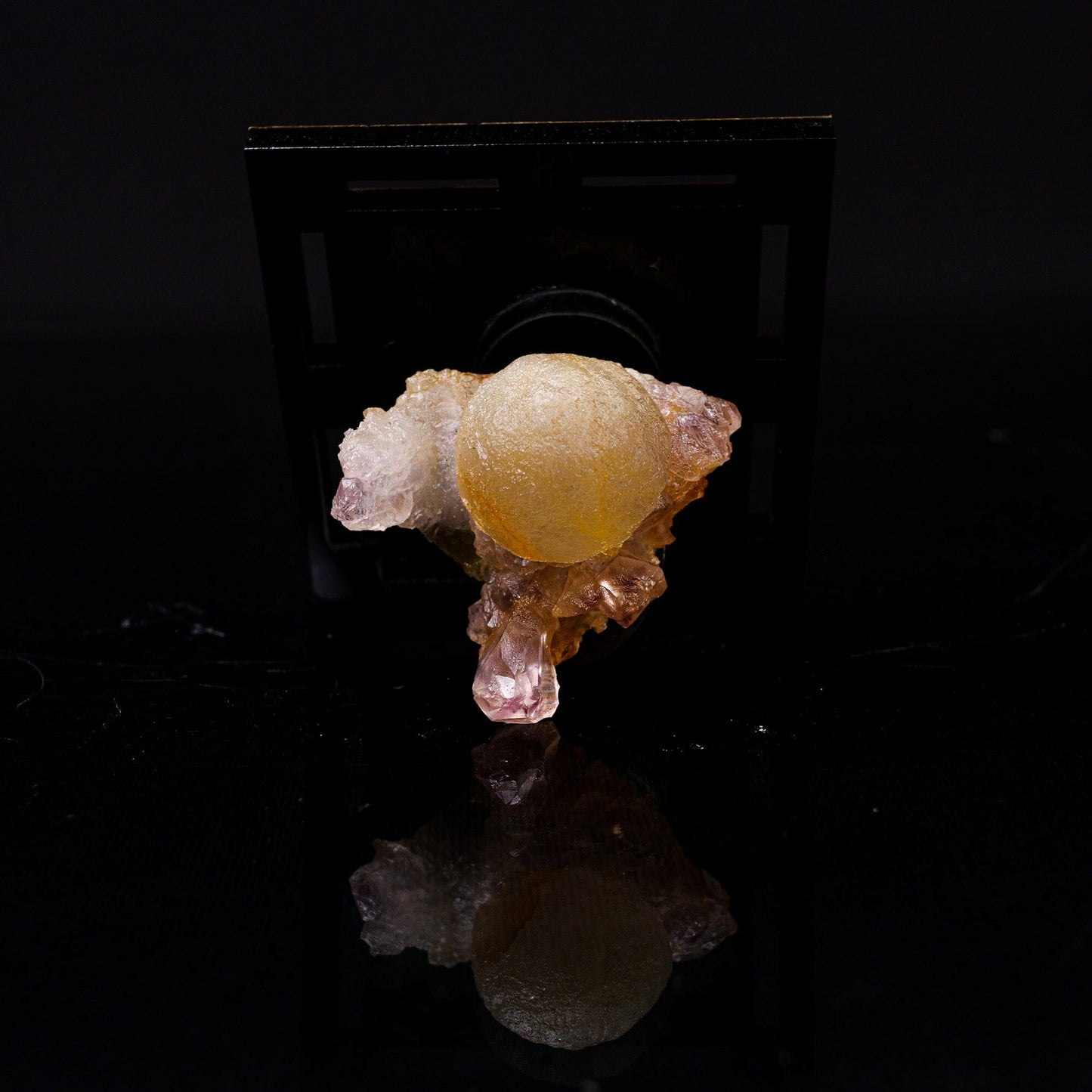 Fluorite Botridoal on Amethyst Natural Mineral Specimen # B 6719 Fluorite Superb Minerals