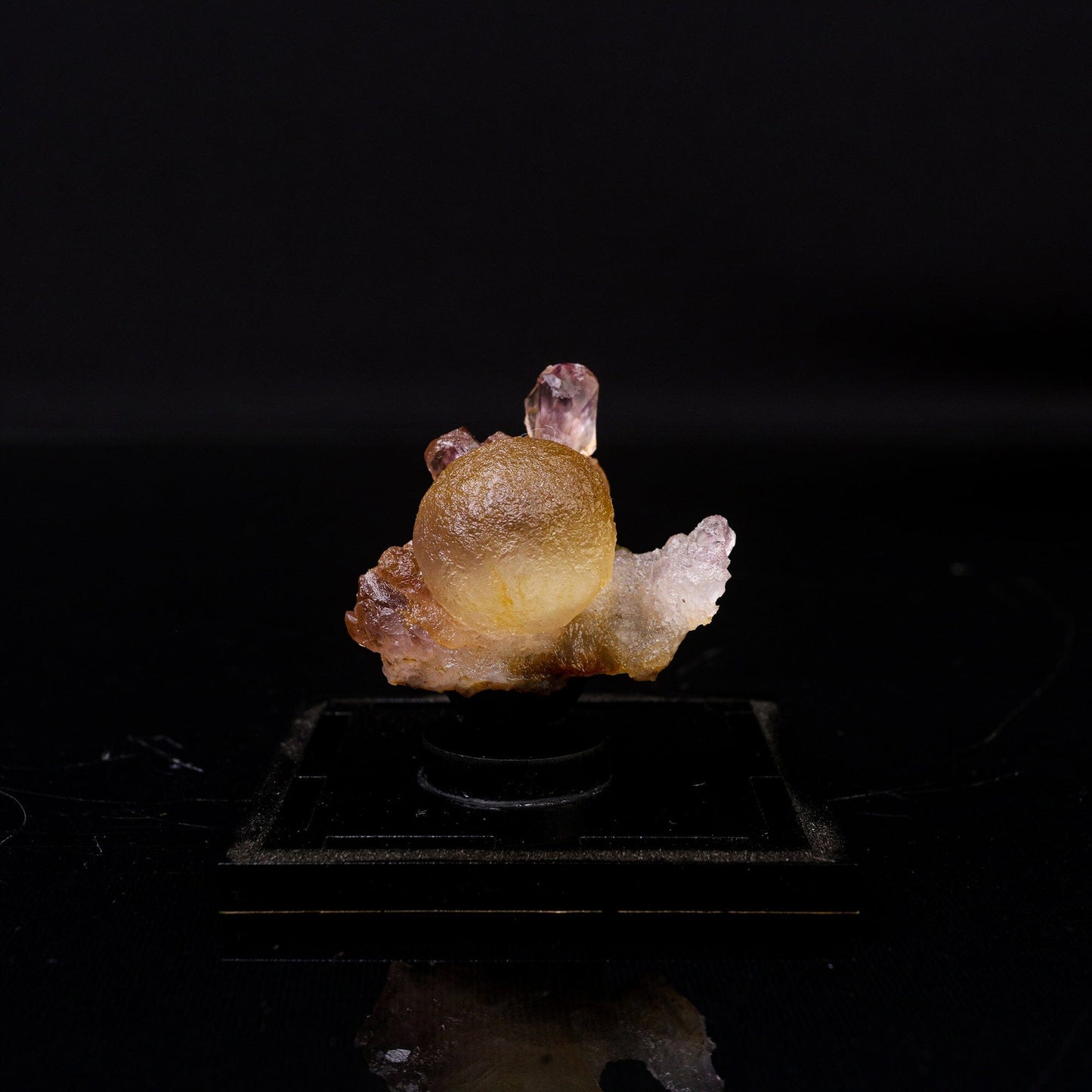 Fluorite Botridoal on Amethyst Natural Mineral Specimen # B 6719 Fluorite Superb Minerals