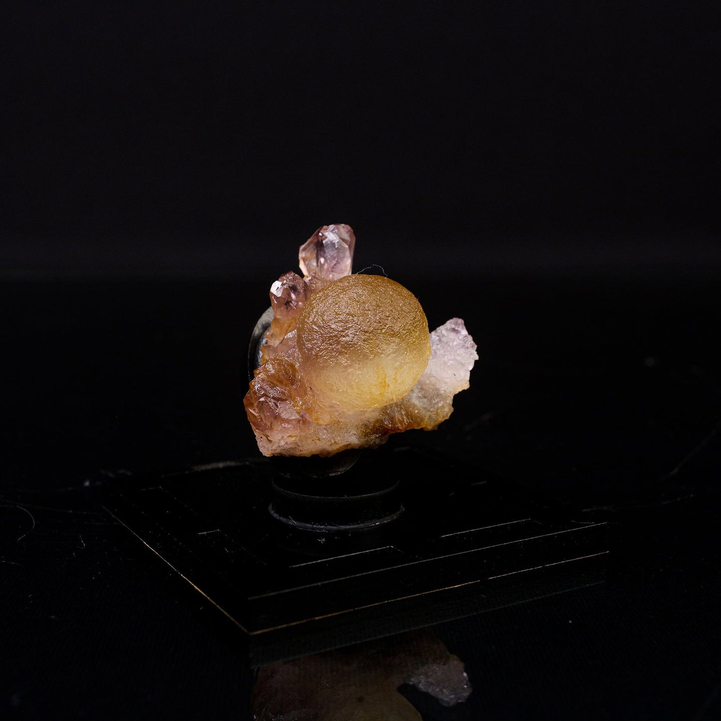 Fluorite Botridoal on Amethyst Natural Mineral Specimen # B 6719 Fluorite Superb Minerals