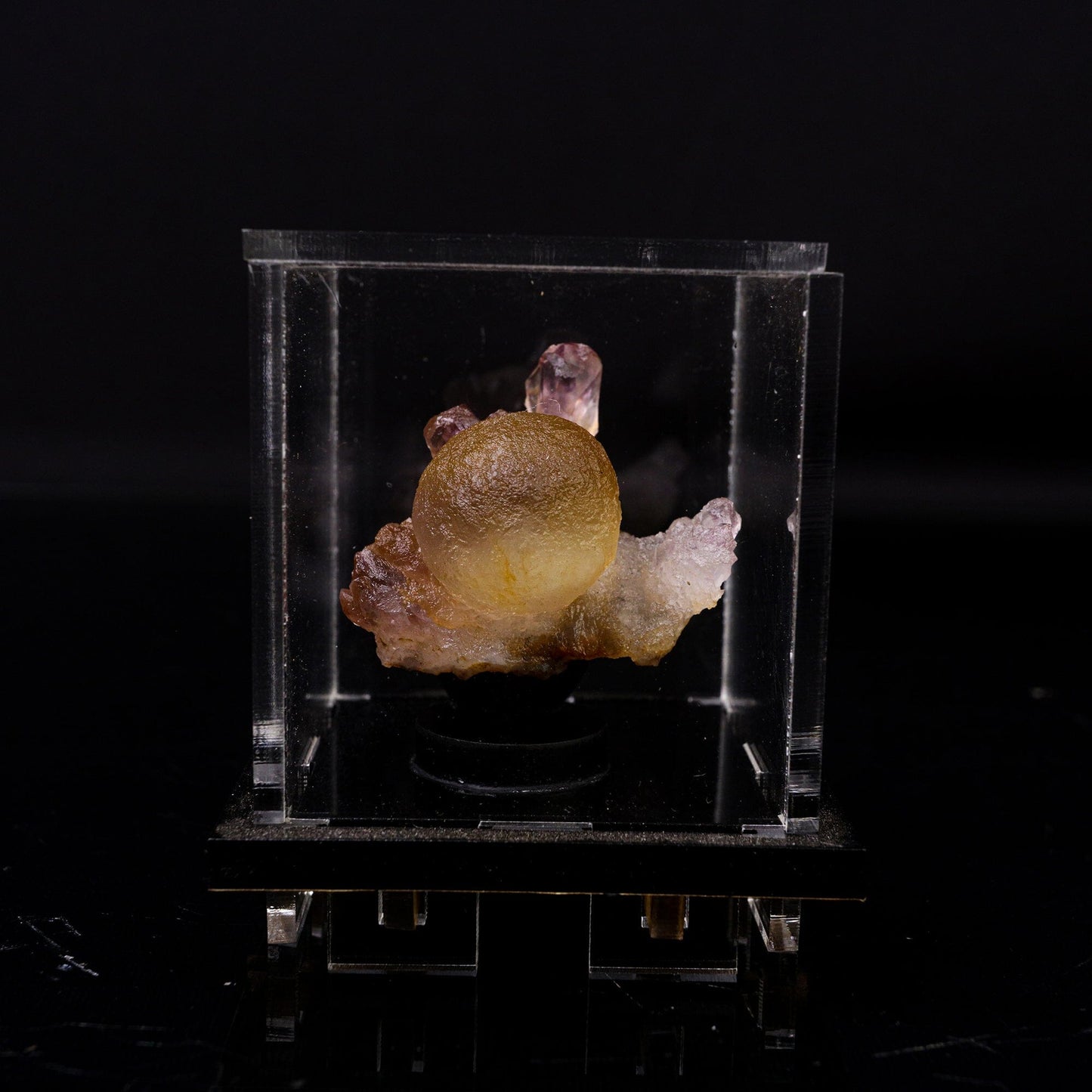 Fluorite Botridoal on Amethyst Natural Mineral Specimen # B 6719 Fluorite Superb Minerals