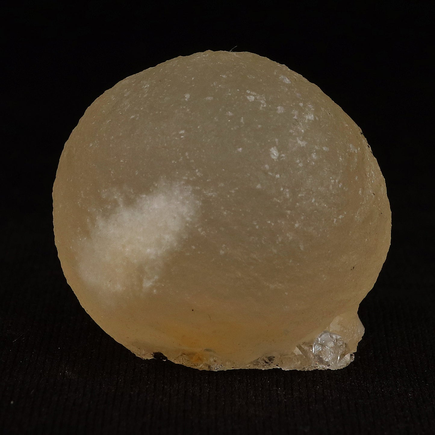 Fluorite Botryoidal Natural Mineral Specimen # B 5082 https://www.superbminerals.us/products/fluorite-botryoidal-natural-mineral-specimen-b-5082 Features: These golden botryoidal fluorites are unique and extremely attractive. This specimen features a a very gemmy, good sized, rich golden color, fluorite "sphere" on gemmy, colorless, stubby quartz crystal matrix. Primary Mineral(s): Fluorite