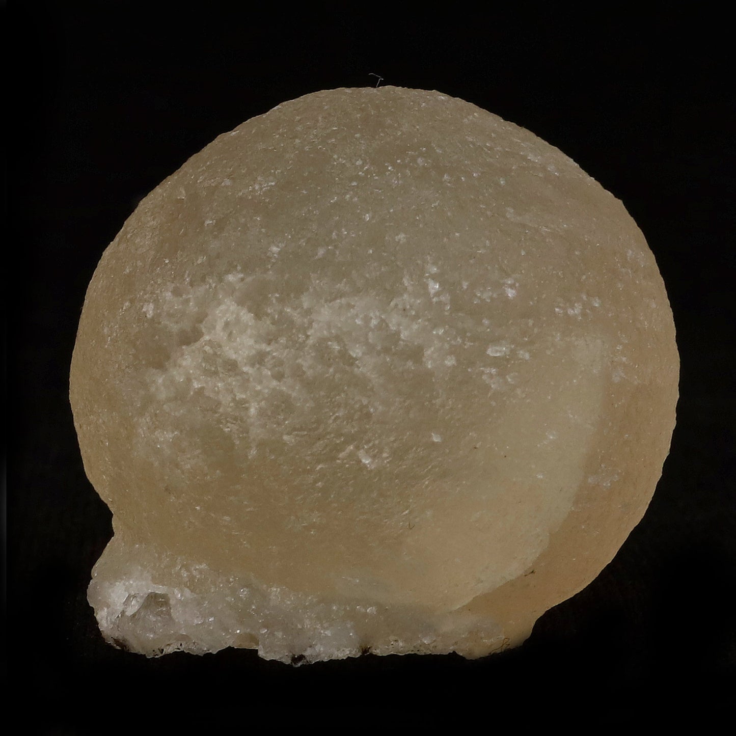 Fluorite Botryoidal Natural Mineral Specimen # B 5082 https://www.superbminerals.us/products/fluorite-botryoidal-natural-mineral-specimen-b-5082 Features: These golden botryoidal fluorites are unique and extremely attractive. This specimen features a a very gemmy, good sized, rich golden color, fluorite "sphere" on gemmy, colorless, stubby quartz crystal matrix. Primary Mineral(s): Fluorite