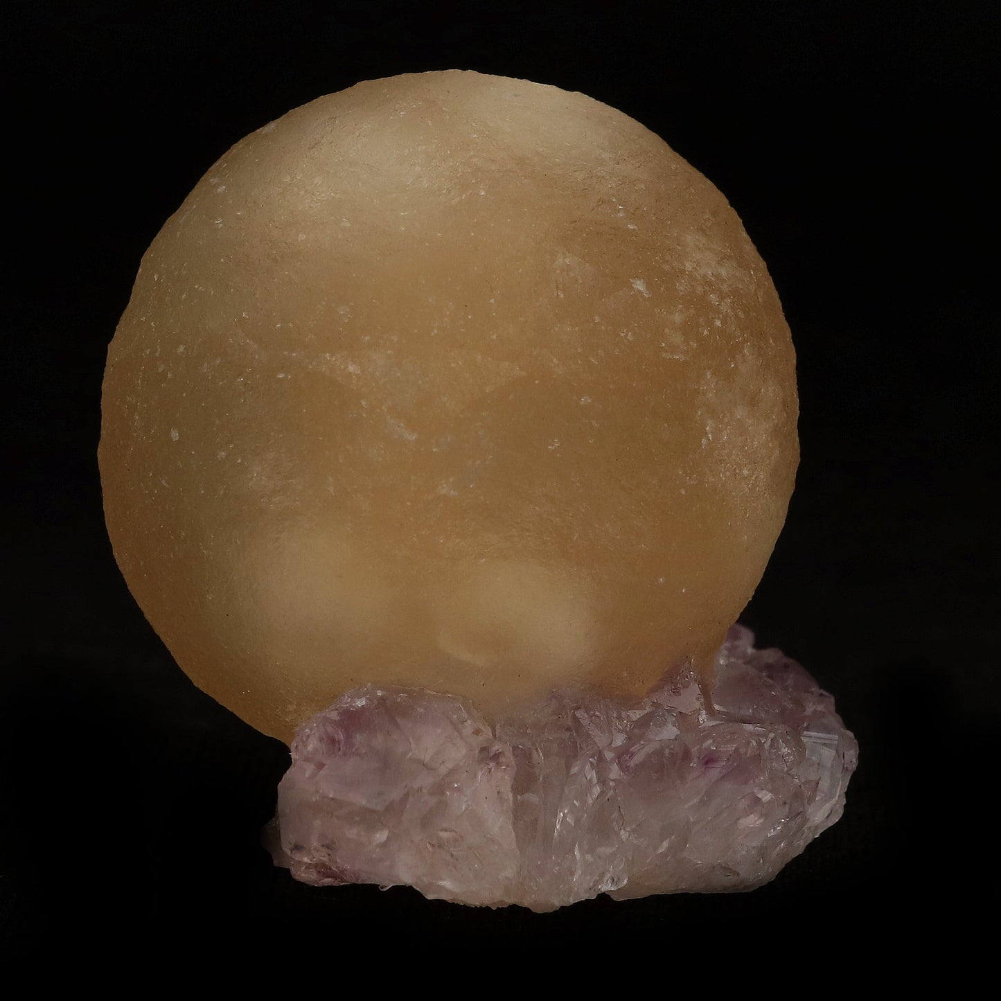 Fluorite Botryoidal on Amethyst Natural Mineral Specimen # B 5078 https://www.superbminerals.us/products/fluorite-botryoidal-on-amethyst-natural-mineral-specimen-b-5078 Features: An extraordinarily botryoidal "ball" of Fluorite is perched atop an exceptionally rich purple coloured Amethyst on Chalcedony and host rock matrix, creating an unusually beautiful specimen. On the surface, the Fluorite is a creamy-white tone that gradually fades away to a golden hue in the middle.