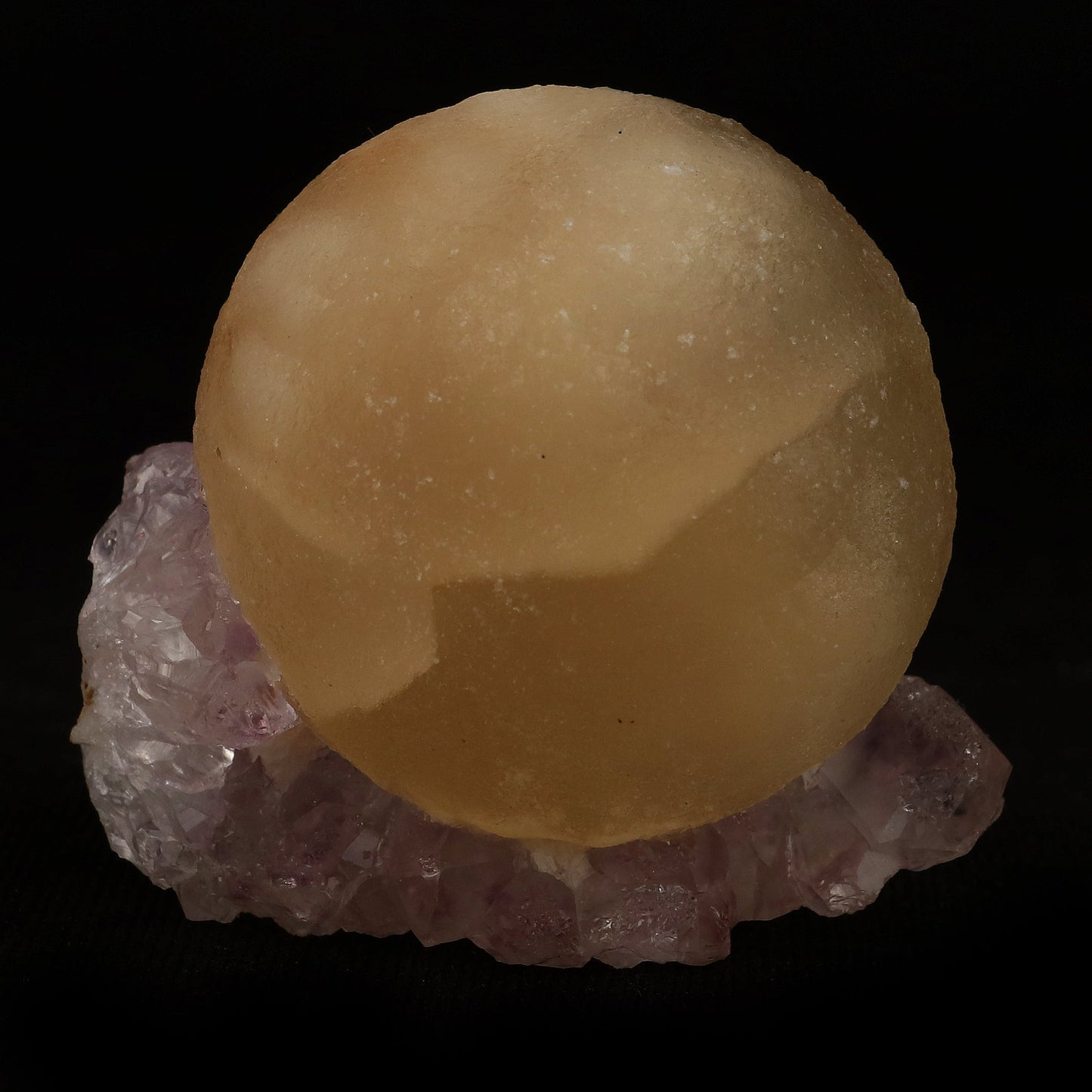 Fluorite Botryoidal on Amethyst Natural Mineral Specimen # B 5078 https://www.superbminerals.us/products/fluorite-botryoidal-on-amethyst-natural-mineral-specimen-b-5078 Features: An extraordinarily botryoidal "ball" of Fluorite is perched atop an exceptionally rich purple coloured Amethyst on Chalcedony and host rock matrix, creating an unusually beautiful specimen. On the surface, the Fluorite is a creamy-white tone that gradually fades away to a golden hue in the middle.