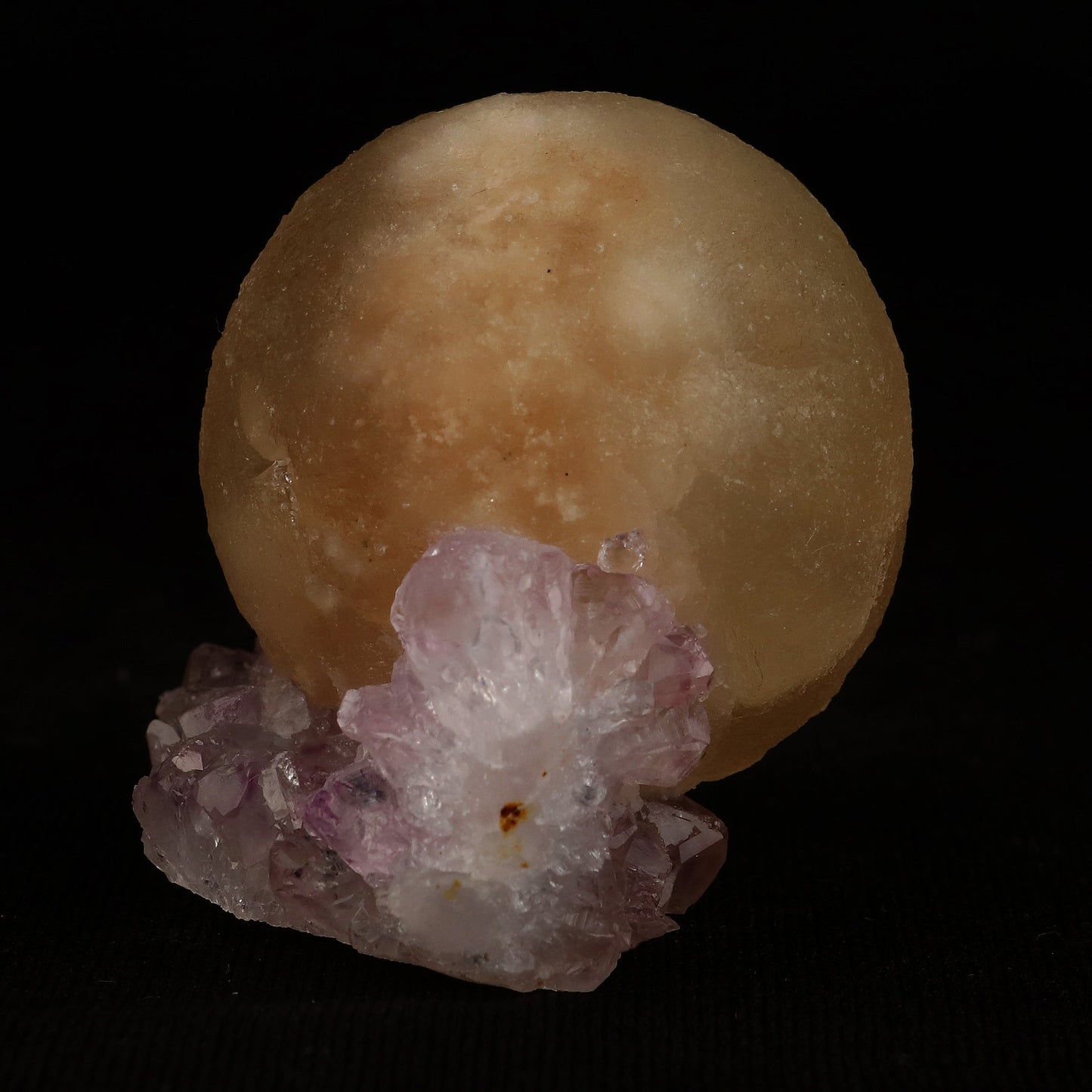 Fluorite Botryoidal on Amethyst Natural Mineral Specimen # B 5078 https://www.superbminerals.us/products/fluorite-botryoidal-on-amethyst-natural-mineral-specimen-b-5078 Features: An extraordinarily botryoidal "ball" of Fluorite is perched atop an exceptionally rich purple coloured Amethyst on Chalcedony and host rock matrix, creating an unusually beautiful specimen. On the surface, the Fluorite is a creamy-white tone that gradually fades away to a golden hue in the middle.