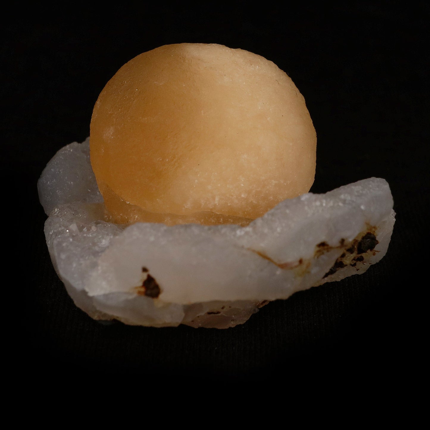Fluorite Botryoidal on MM Quartz Natural Mineral Specimen # B 5076 https://www.superbminerals.us/products/fluorite-botryoidal-on-mm-quartz-natural-mineral-specimen-b-5077 Features: An extraordinarily botryoidal "ball" of Fluorite is perched atop an exceptionally rich purple coloured Amethyst on Chalcedony and host rock matrix, creating an unusually beautiful specimen. On the surface, the Fluorite is a creamy-white tone that gradually fades away to a golden hue in the middle