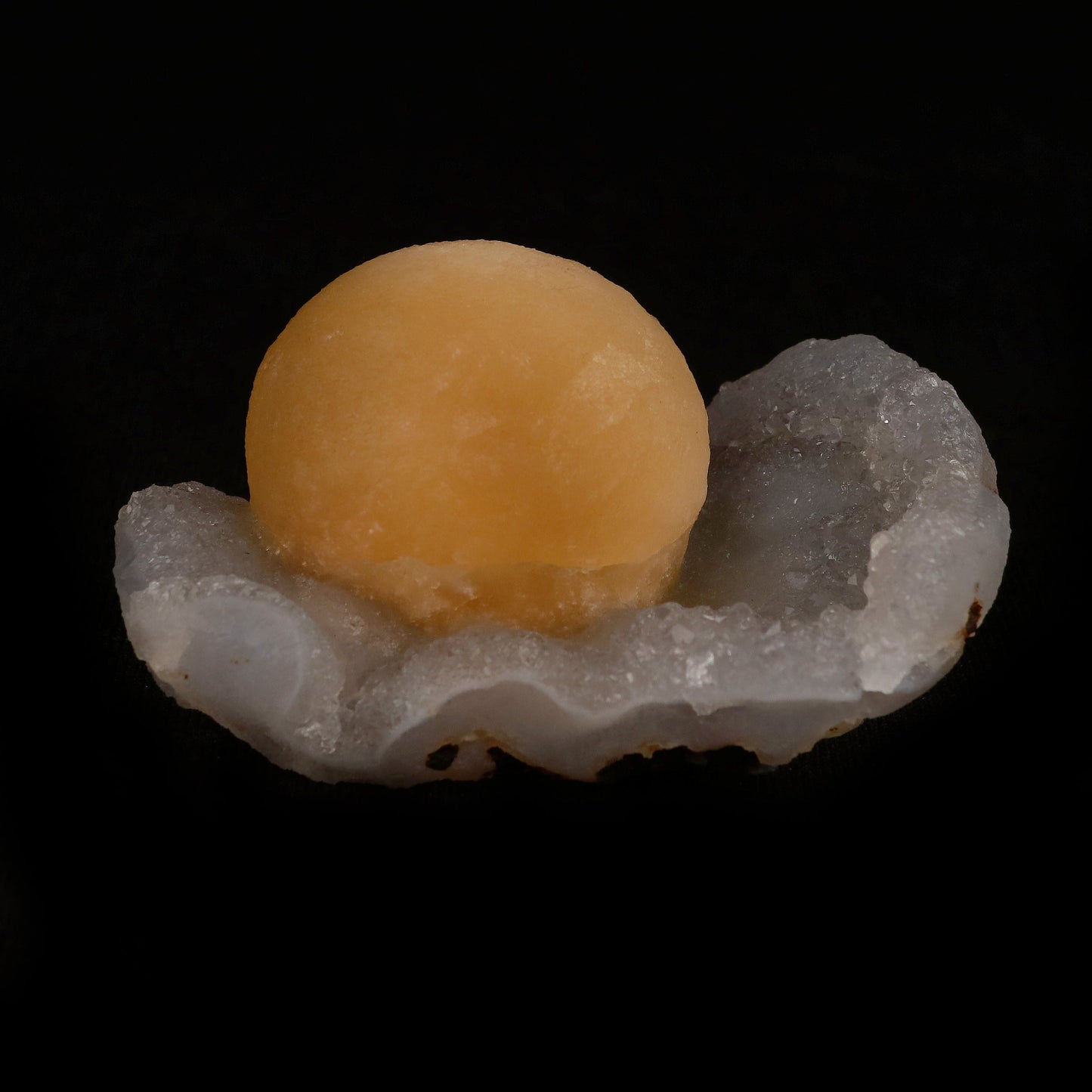 Fluorite Botryoidal on MM Quartz Natural Mineral Specimen # B 5076 https://www.superbminerals.us/products/fluorite-botryoidal-on-mm-quartz-natural-mineral-specimen-b-5077 Features: An extraordinarily botryoidal "ball" of Fluorite is perched atop an exceptionally rich purple coloured Amethyst on Chalcedony and host rock matrix, creating an unusually beautiful specimen. On the surface, the Fluorite is a creamy-white tone that gradually fades away to a golden hue in the middle