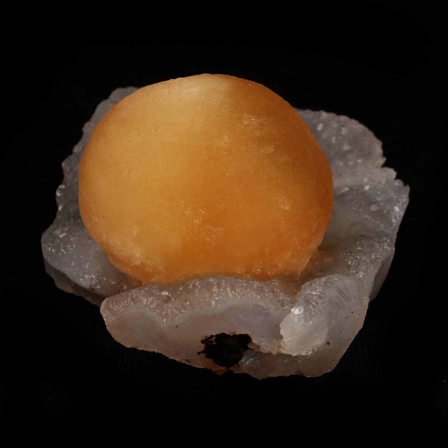 Fluorite Botryoidal on MM Quartz Natural Mineral Specimen # B 5076 https://www.superbminerals.us/products/fluorite-botryoidal-on-mm-quartz-natural-mineral-specimen-b-5077 Features: An extraordinarily botryoidal "ball" of Fluorite is perched atop an exceptionally rich purple coloured Amethyst on Chalcedony and host rock matrix, creating an unusually beautiful specimen. On the surface, the Fluorite is a creamy-white tone that gradually fades away to a golden hue in the middle